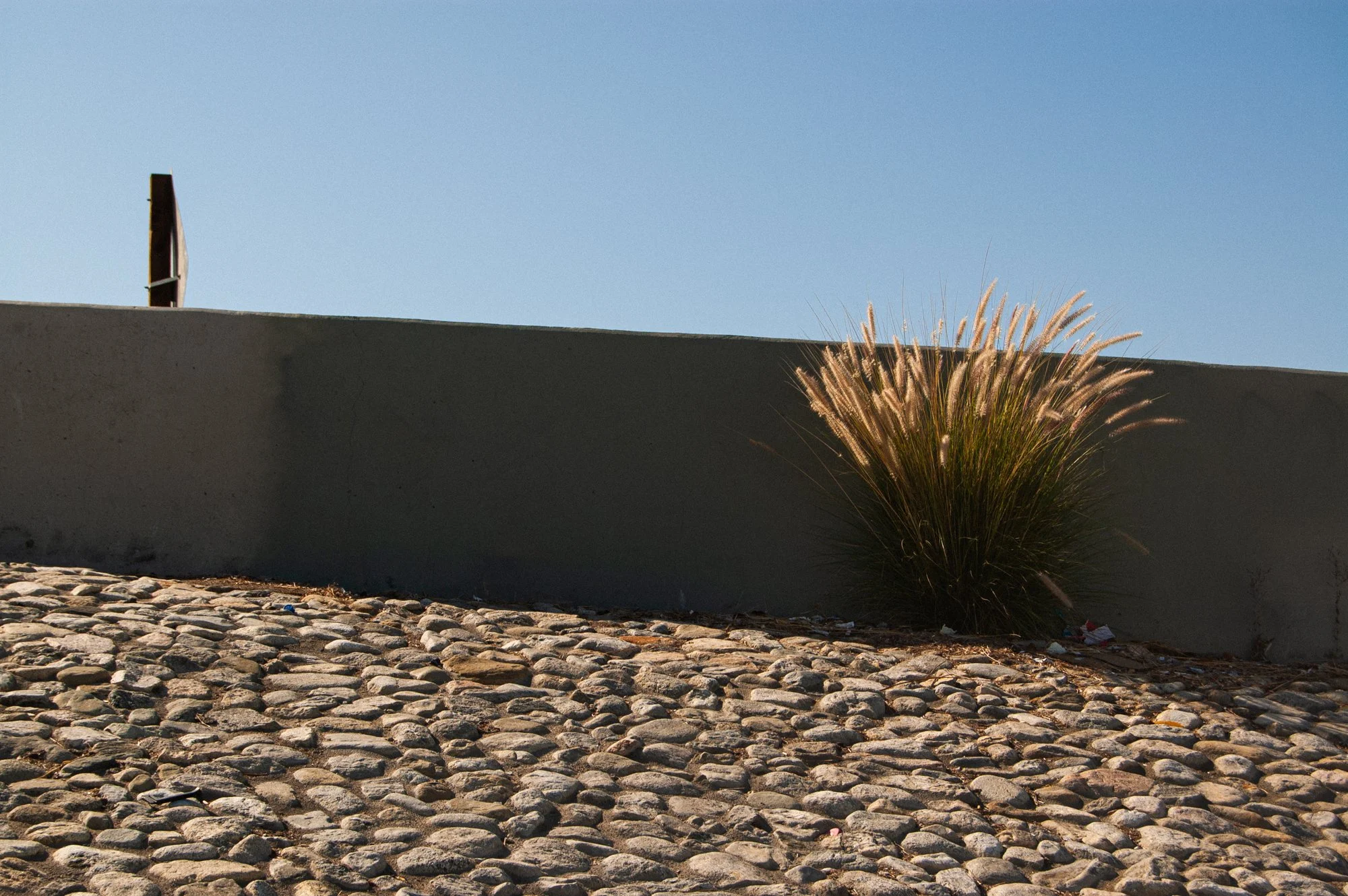 A low wall with a tuft of ornamental grass growing beside it, a gravel surface in the foreground, and a clear blue sky.