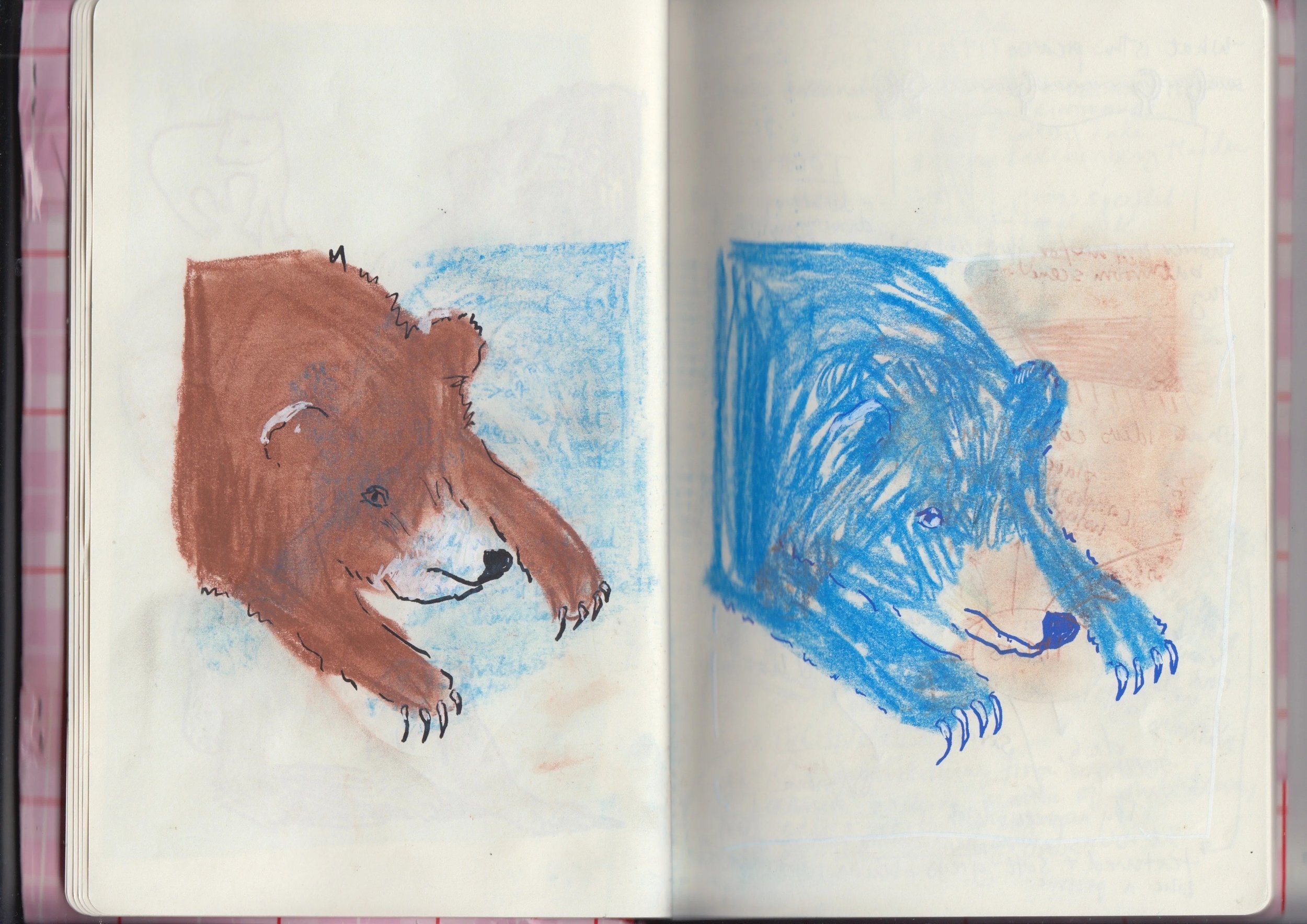 Drawing of a brown bear on the left page and a blue bear on the right page, both illustrated in a crayon style.