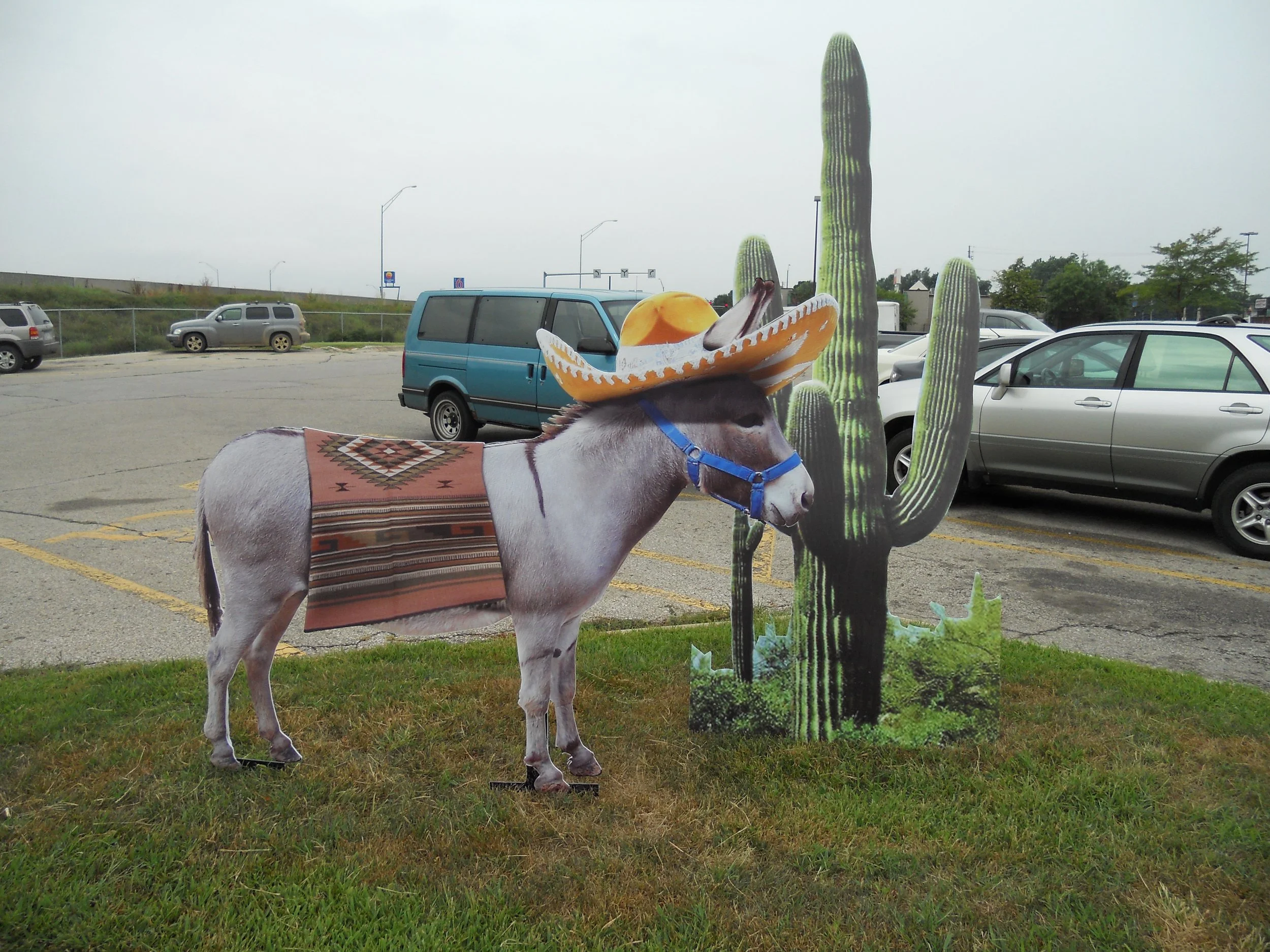 Photo of a parking lot with several cars, large cactus plants, and a partly cloudy sky. In the foreground, there is a cardboard cutout of a donkey wearing a sombrero and a saddle blanket.