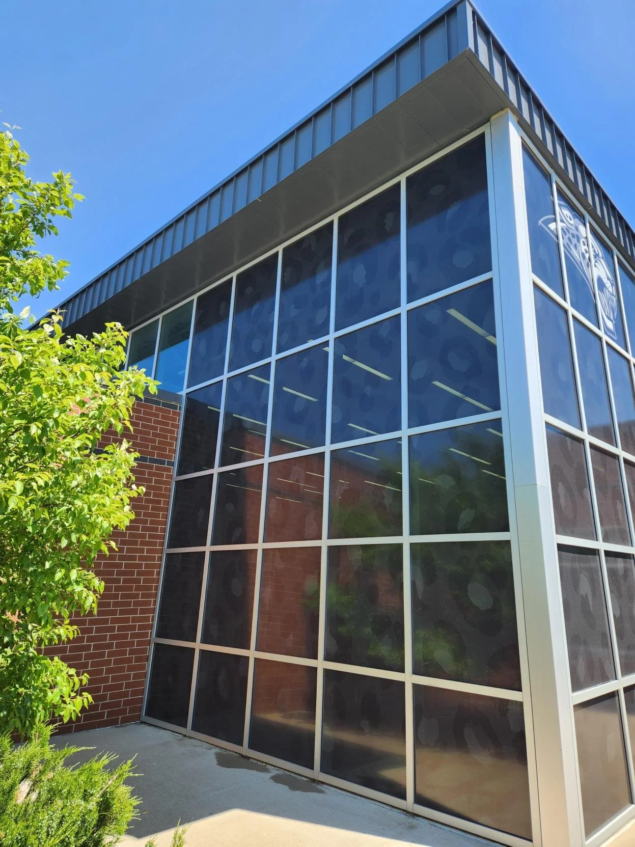 Modern building with large glass windows reflecting the blue sky, adjacent to a brick wall and greenery.