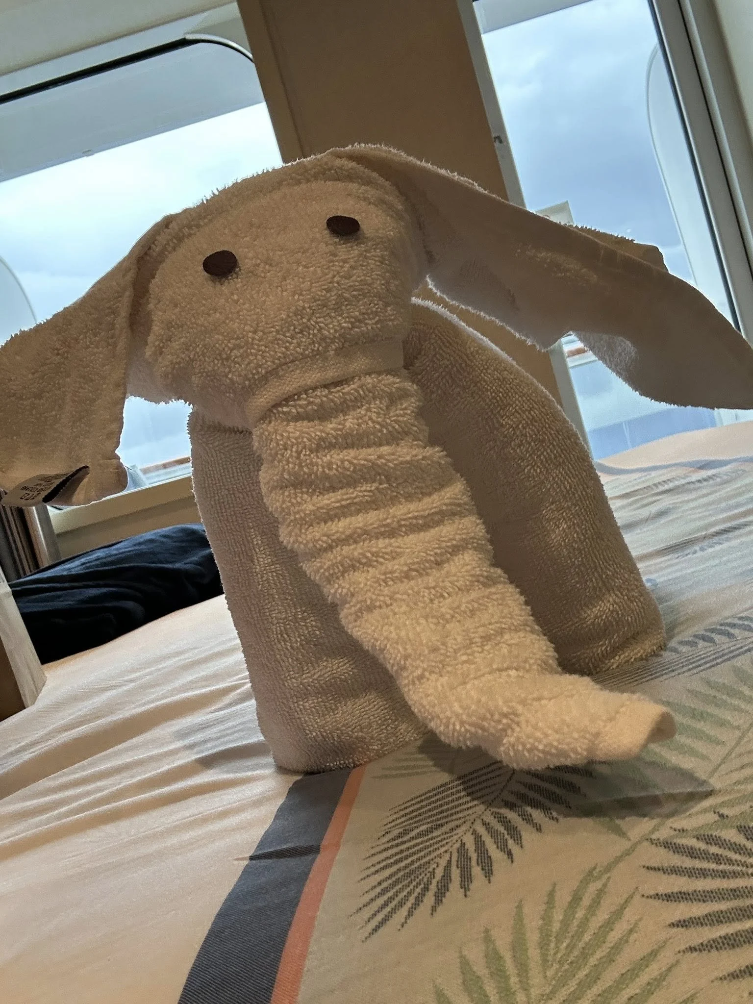 Elephant made out of towels on a Carnival Cruise
