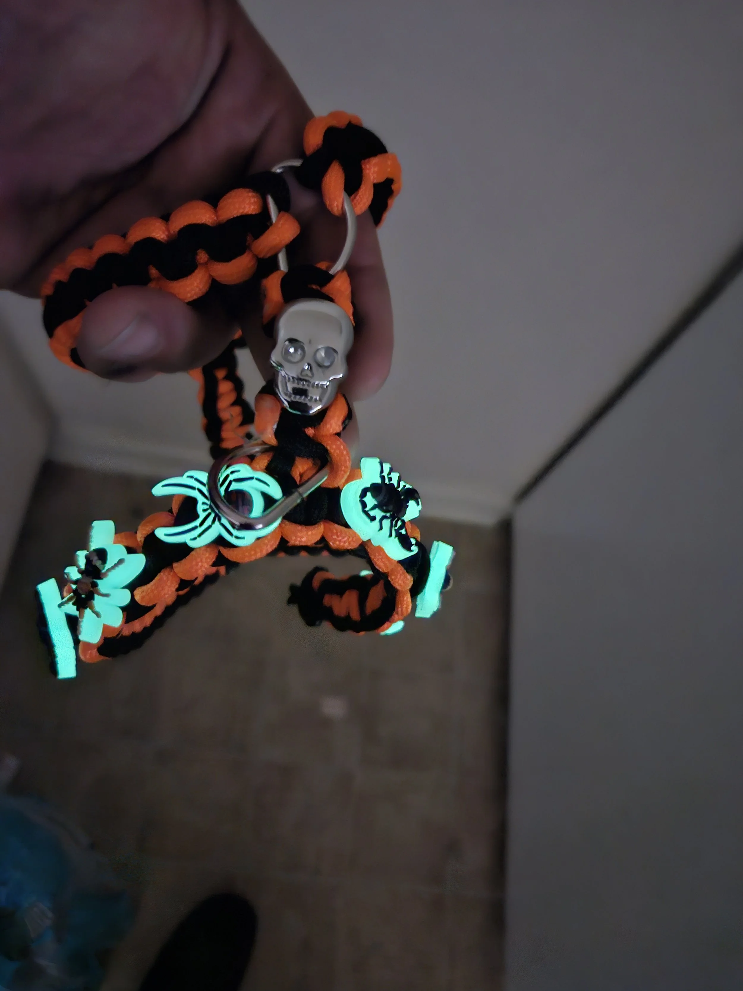 242.jpg