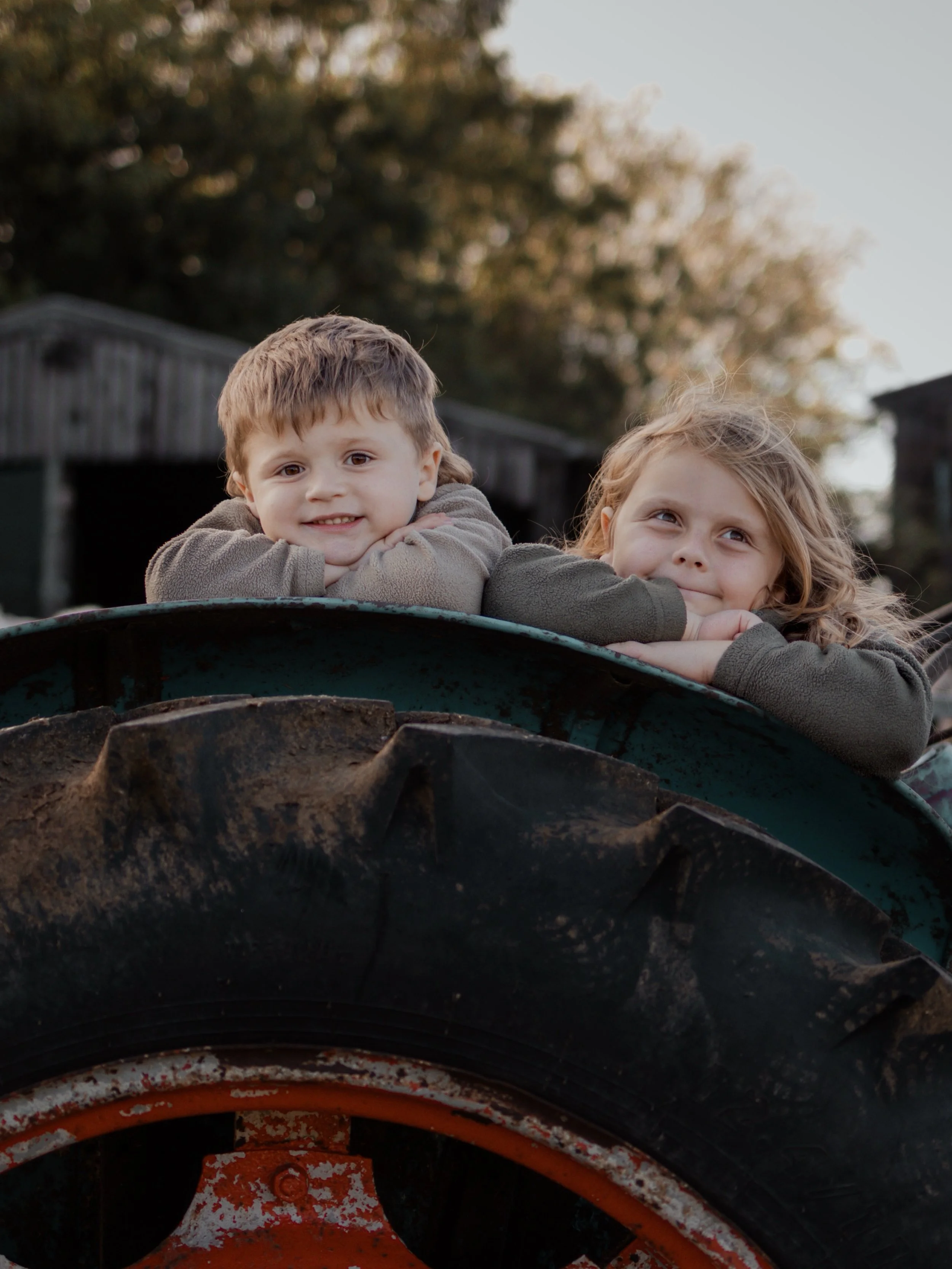 Golden Hour on the Farm 🌿🌞 #goldenhour #photography #followforfollow #followback #familyphotography