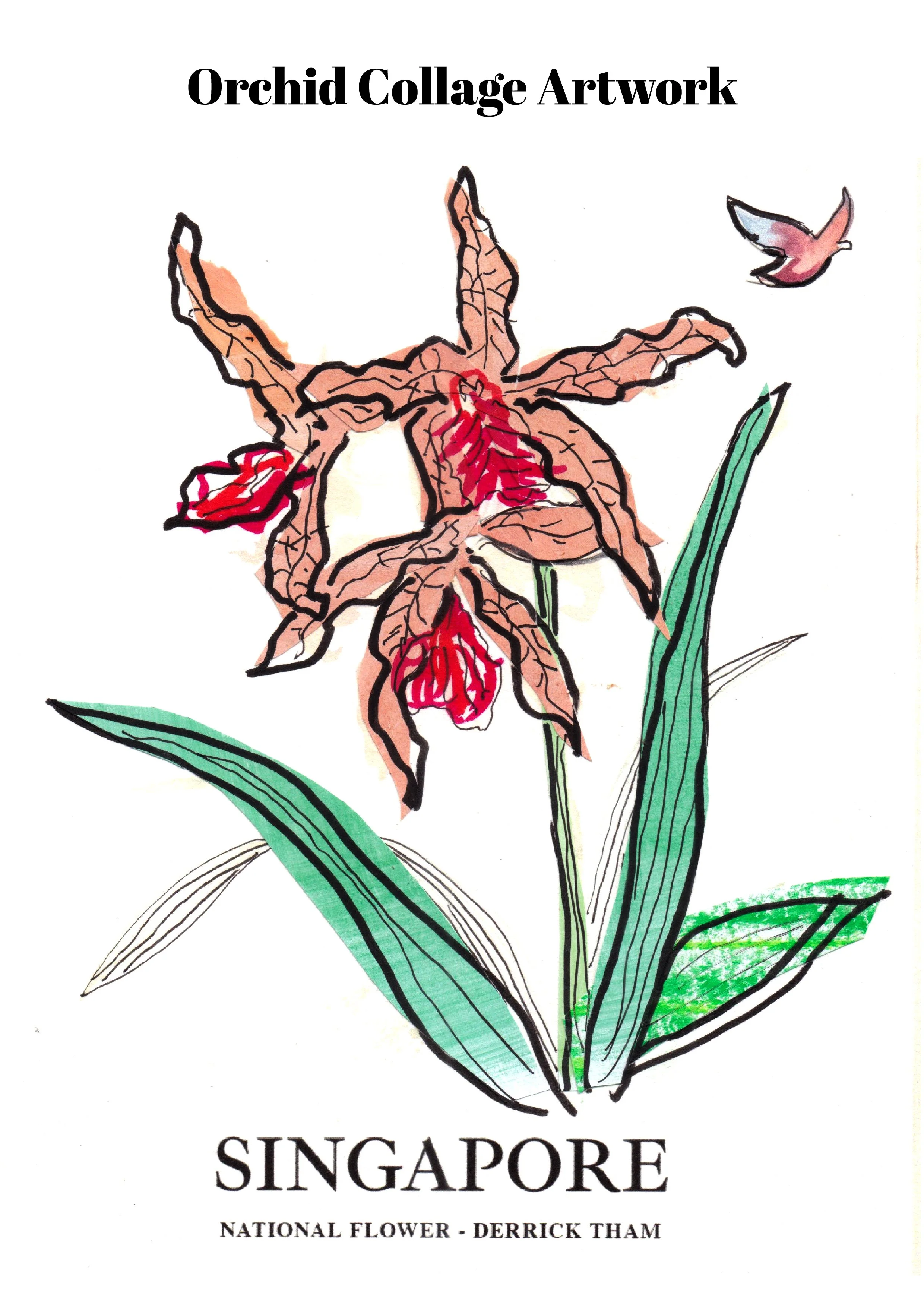 Singapore Orchid 1