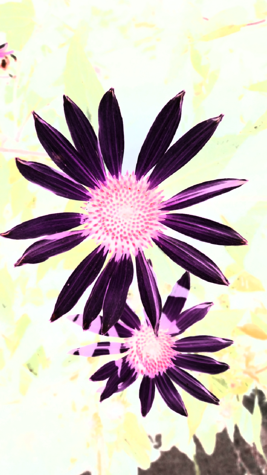 2016-07-20 16.43.02.png
