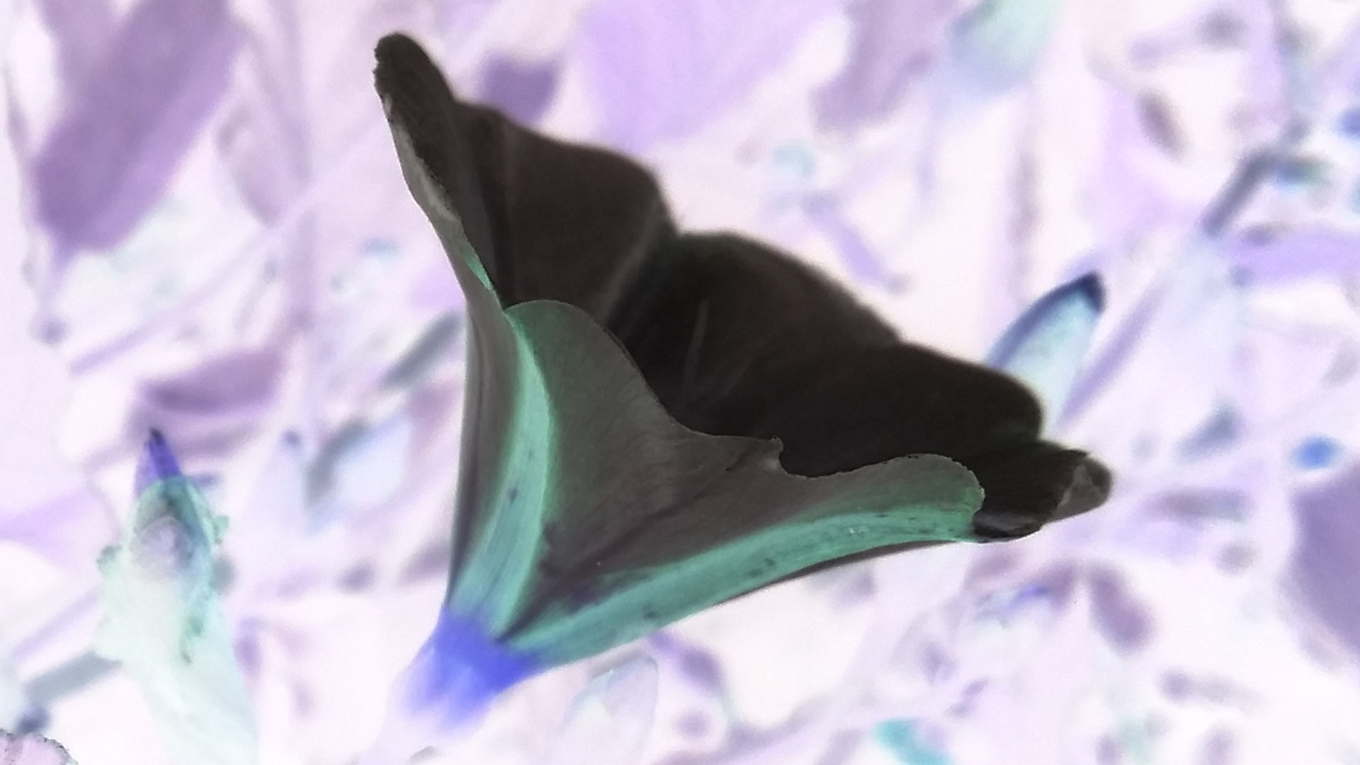 2016-07-21 01.03.35.png