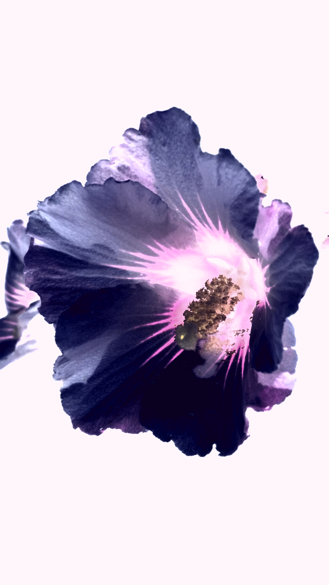 2016-07-21 20.43.30.png
