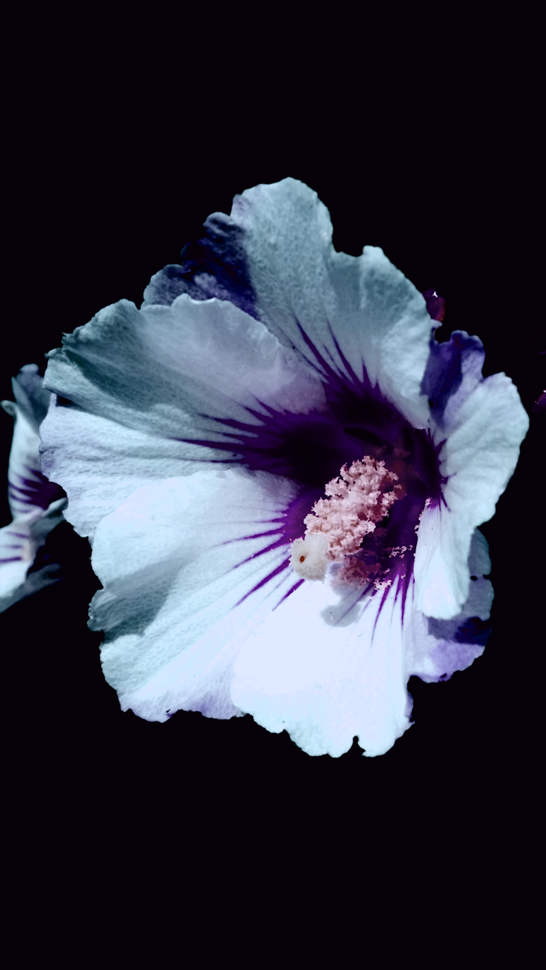 2016-07-22 02.31.33.png