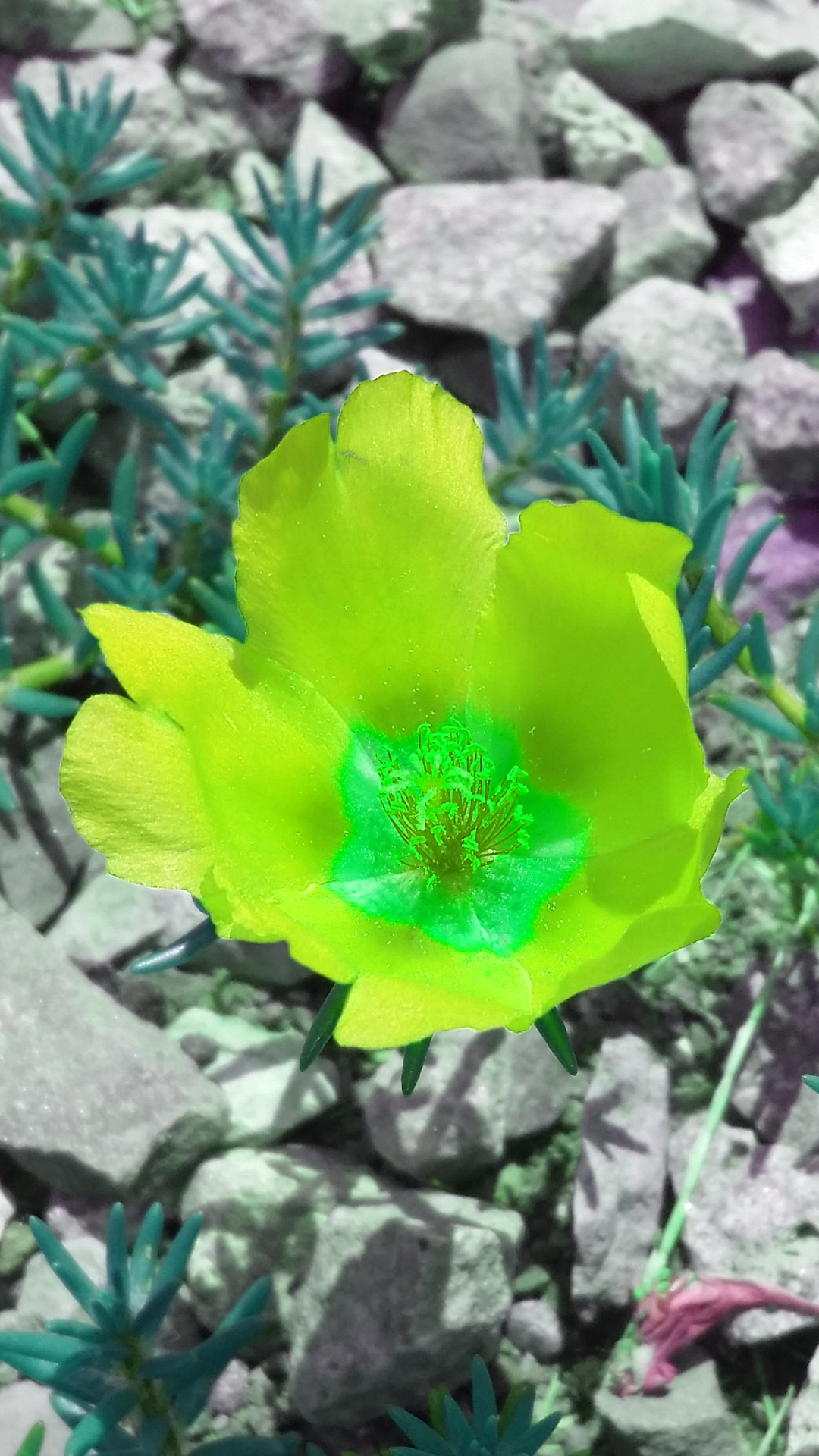 2016-07-20 15.55.34.png