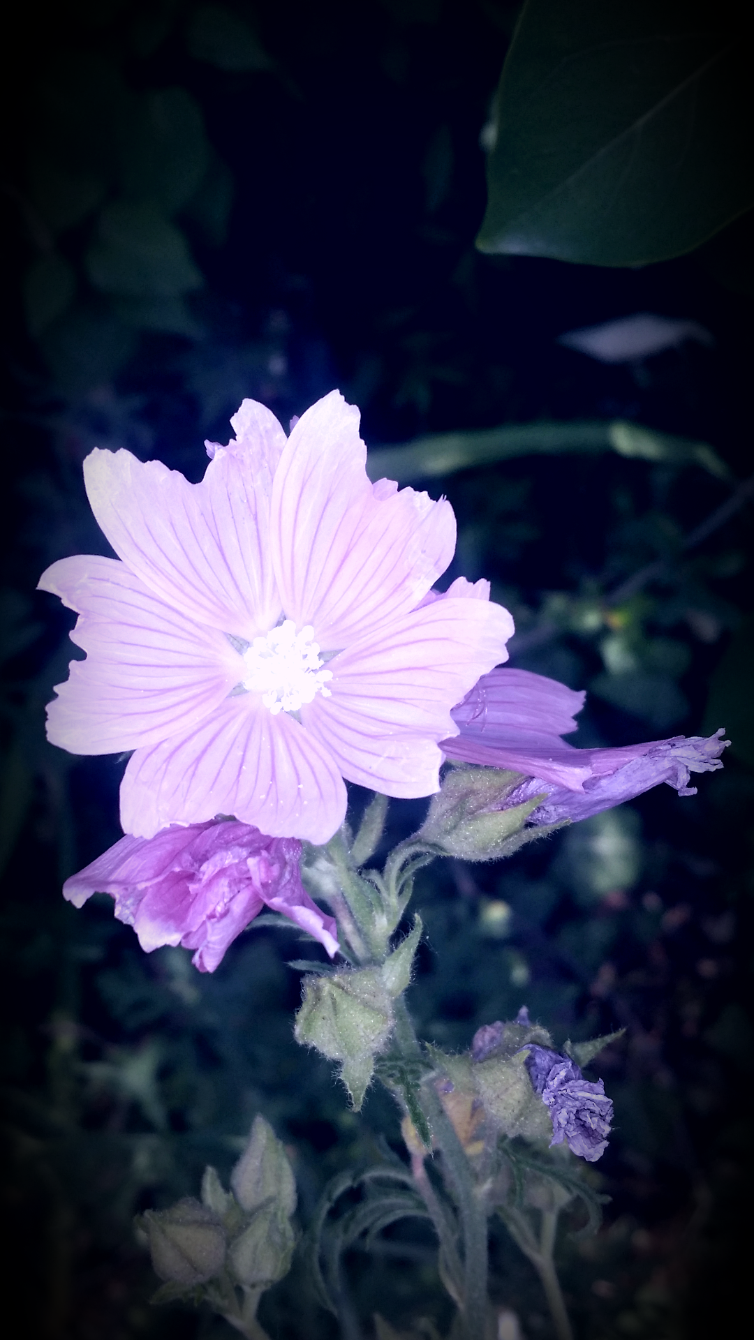2016-07-05 19.54.25.png