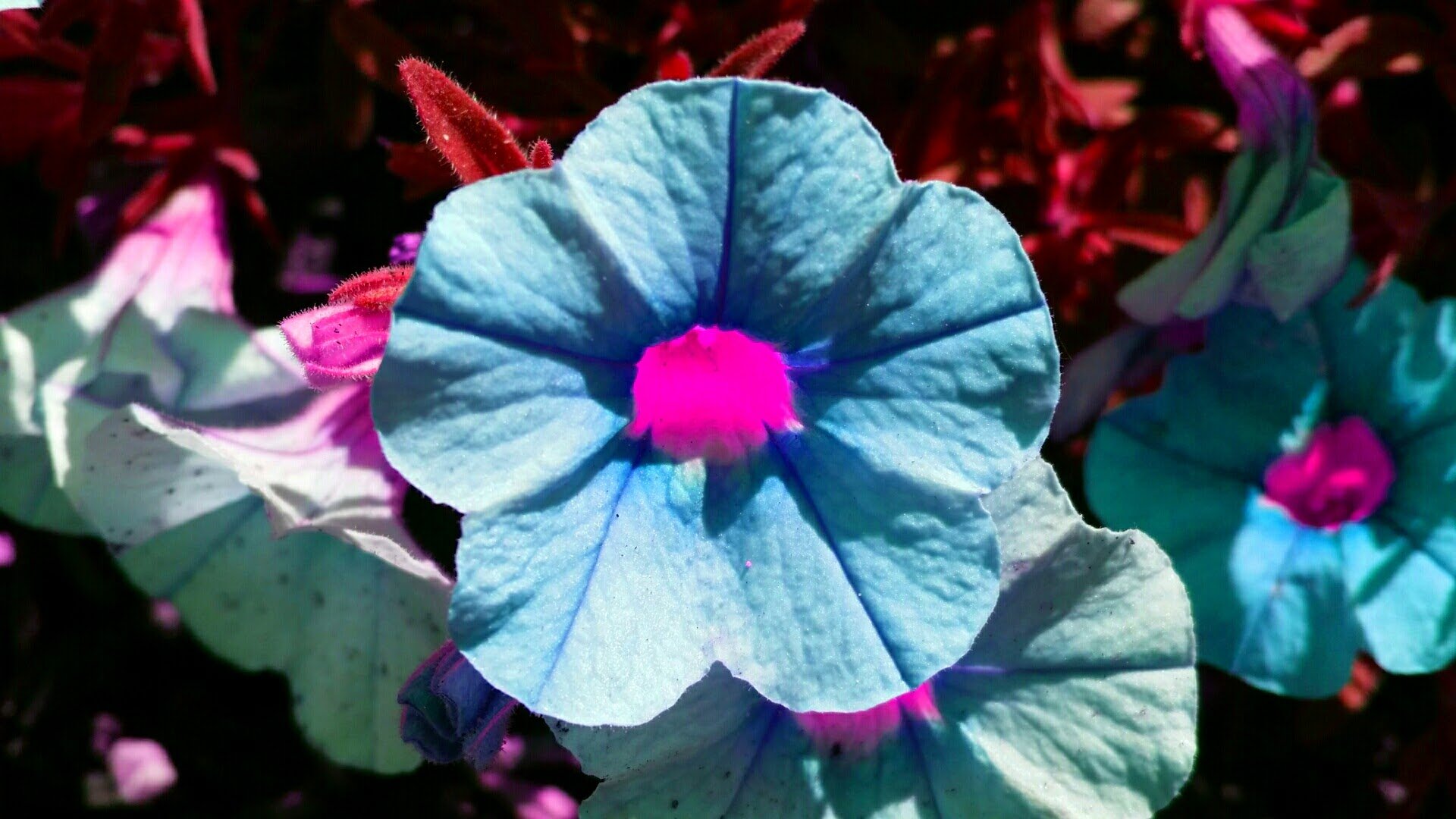 2016-07-21 00.45.07.jpg