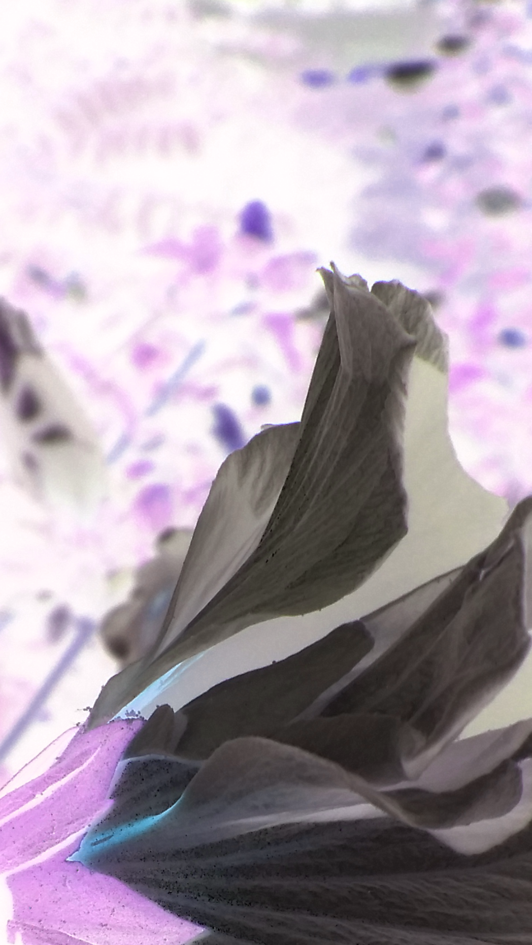 2016-08-04 00.11.51.png