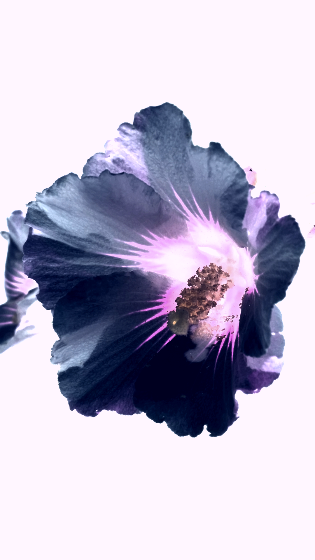 2016-07-21 20.43.06.png
