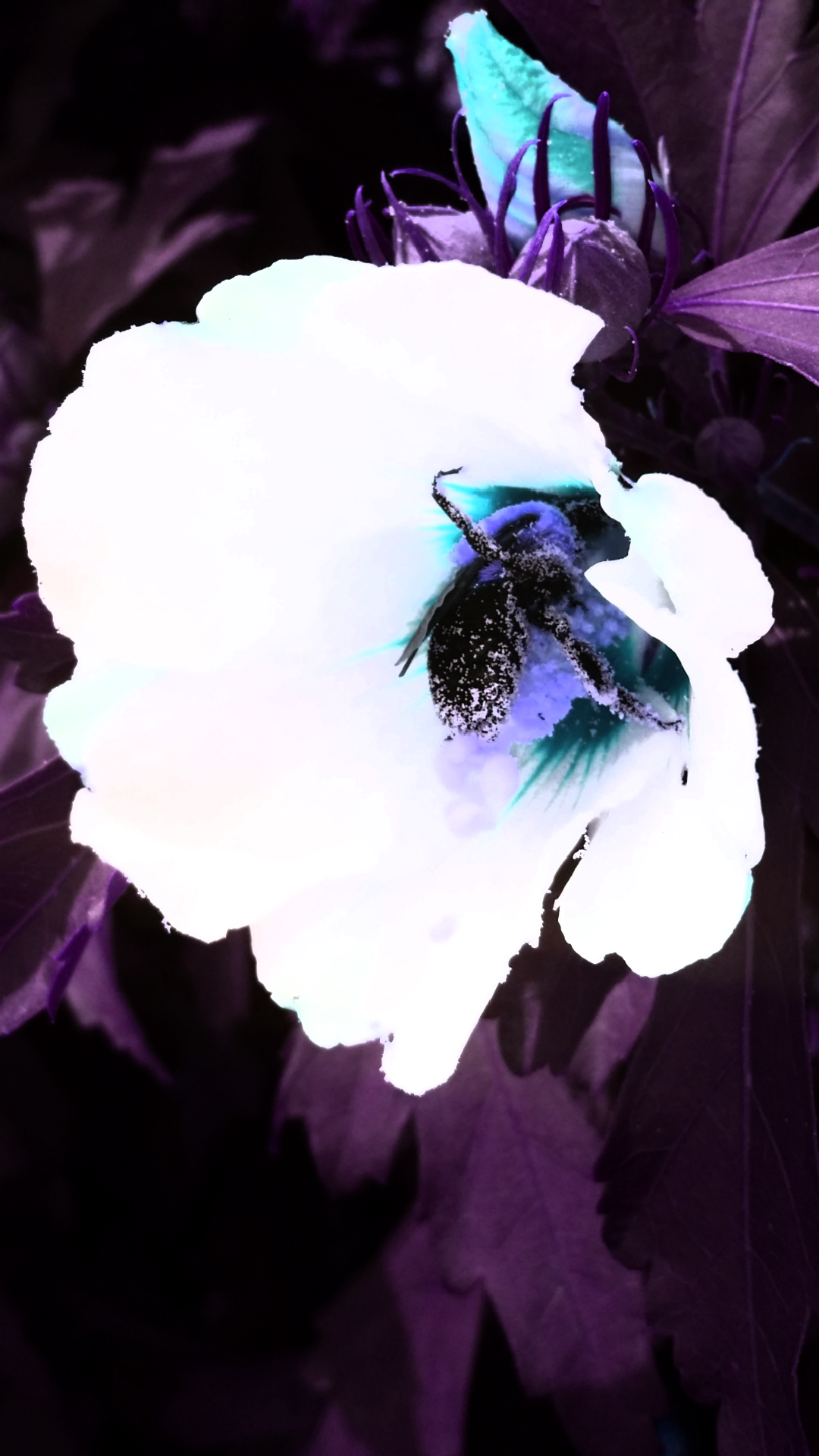 Screenshot_2016-07-21-20-52-46.png