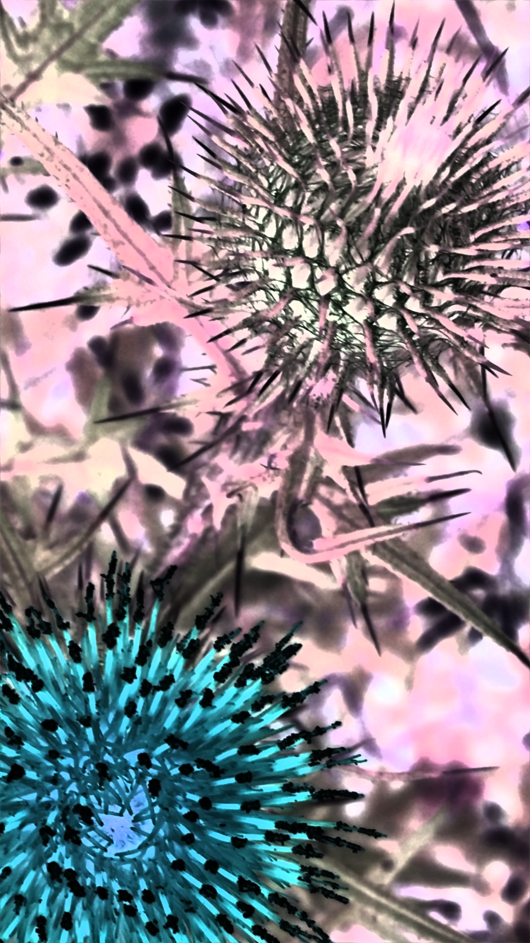 2016-07-22 01.35.03.png