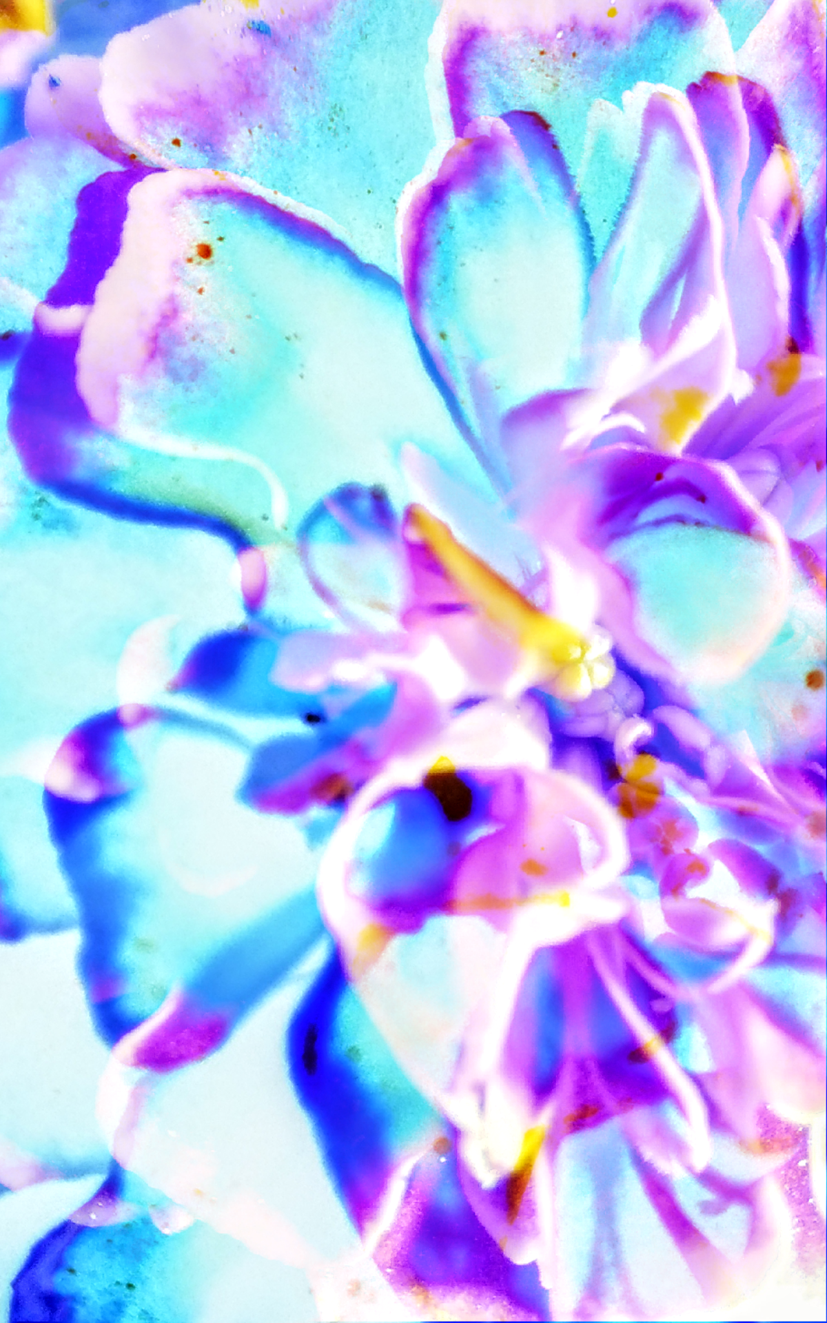 Screenshot_2017-07-01-20-26-59.png