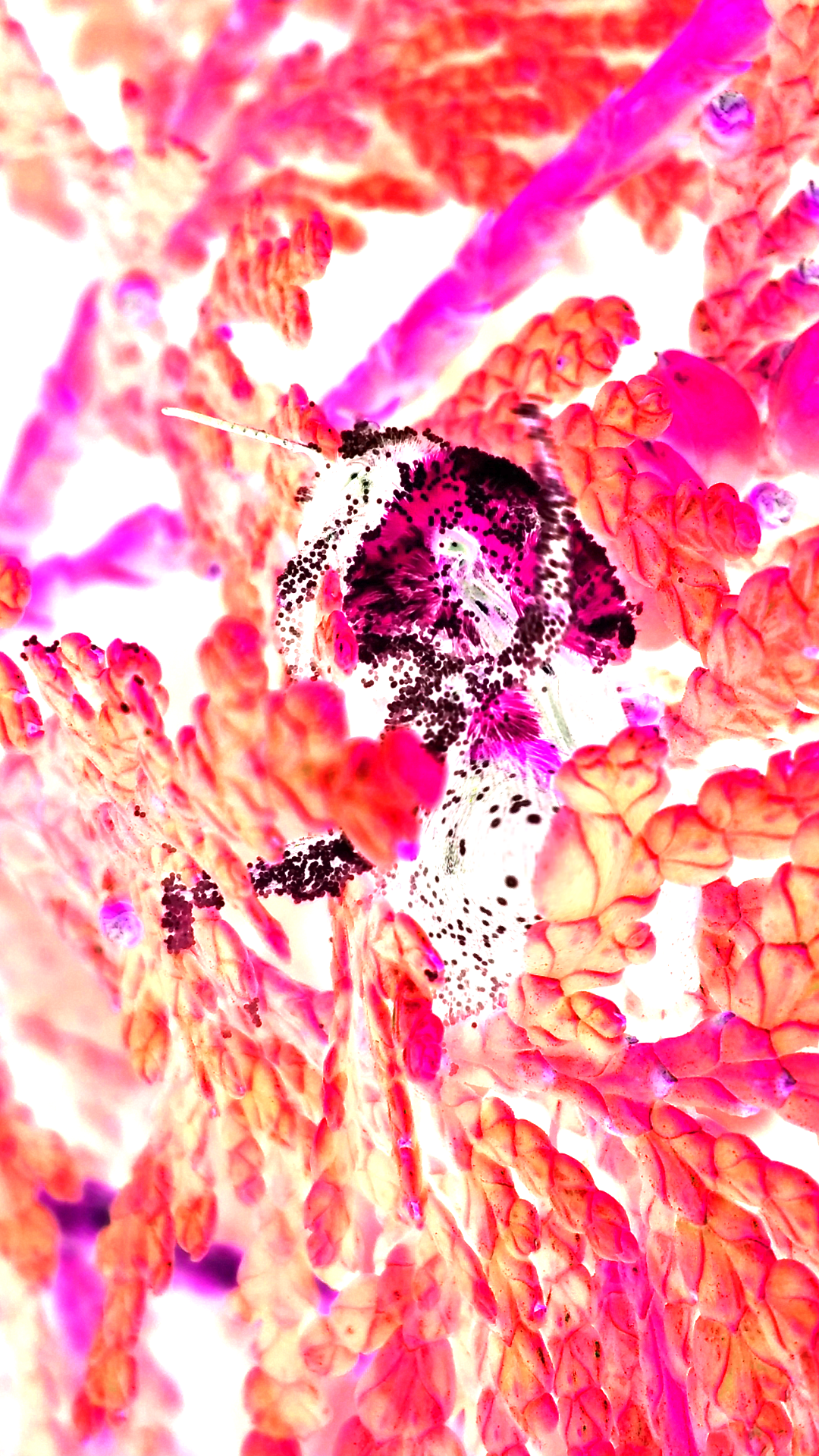 2016-07-21 20.02.04.png