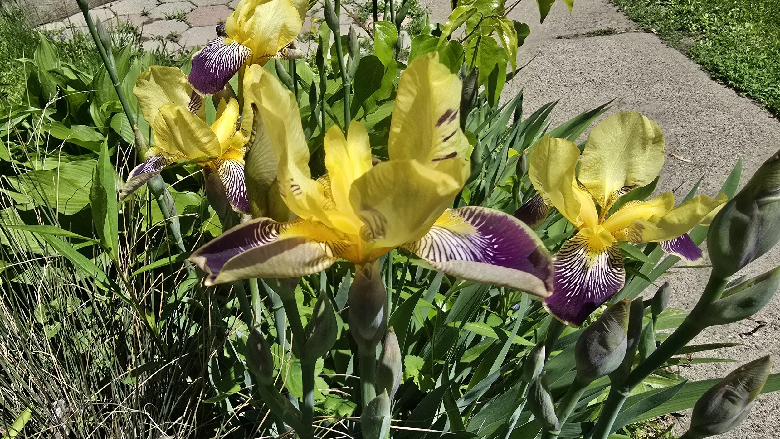 20250526_135551.jpg
