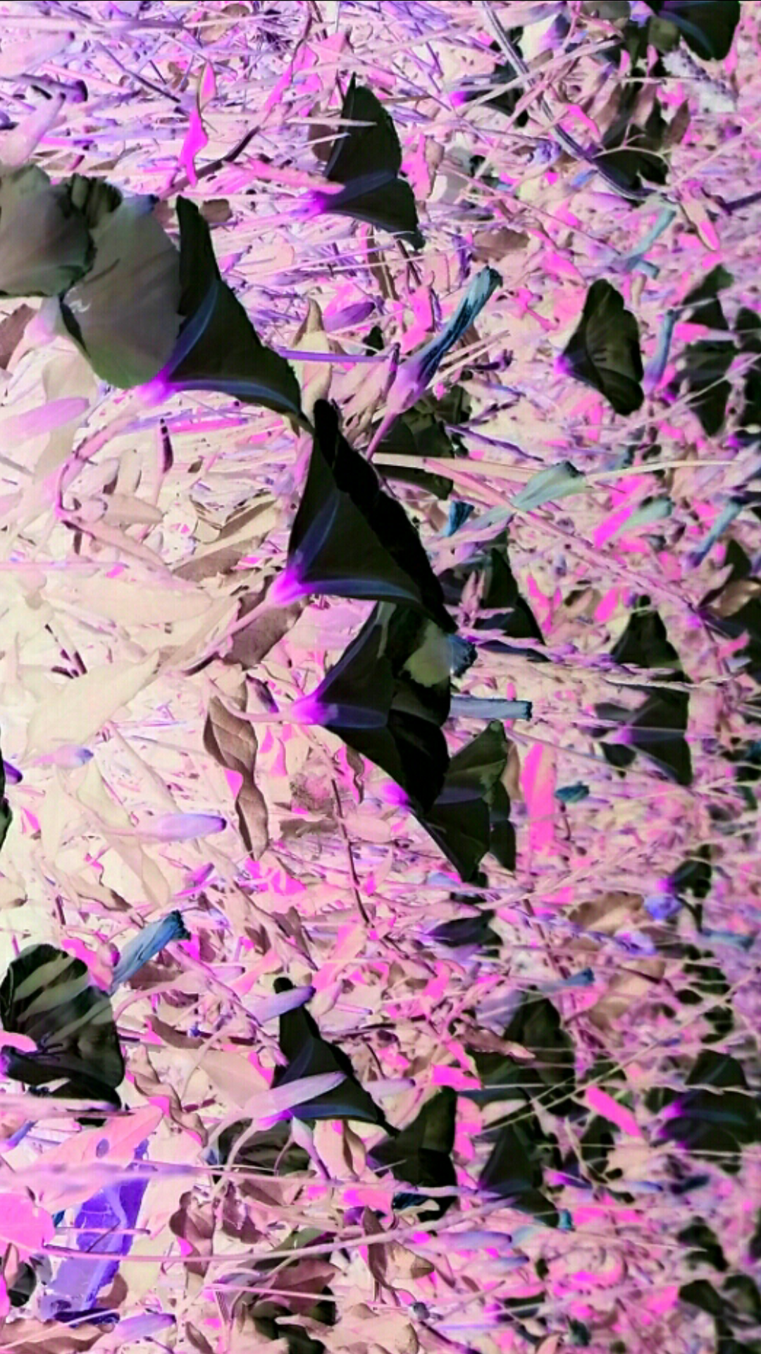 Screenshot_2016-07-20-16-33-07.png
