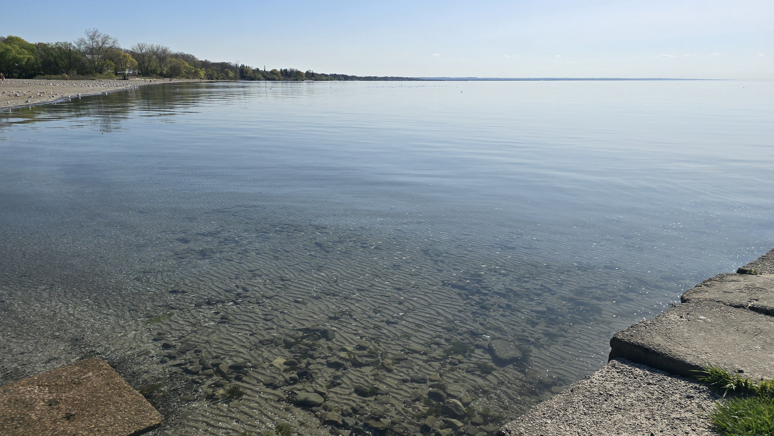 20250509_173550.jpg