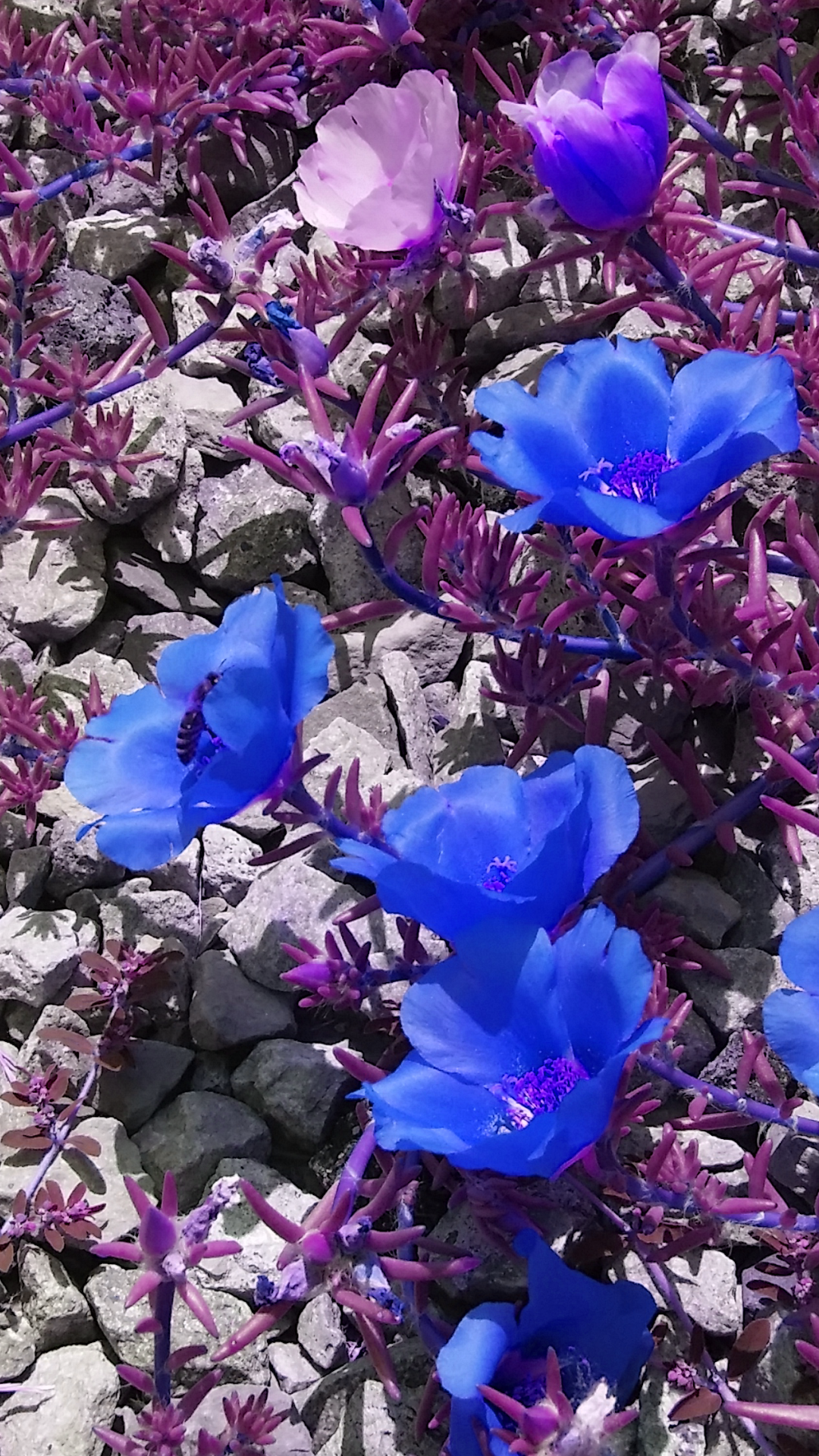 2016-07-20 15.54.36.png