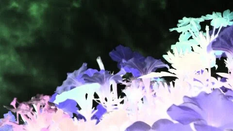 1469501736779.jpg