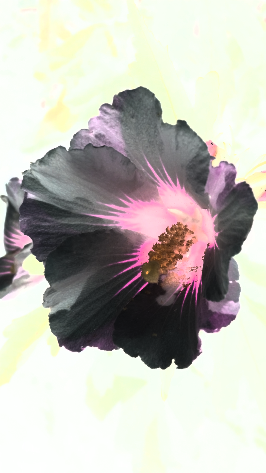 Screenshot_2016-07-21-20-40-57.png