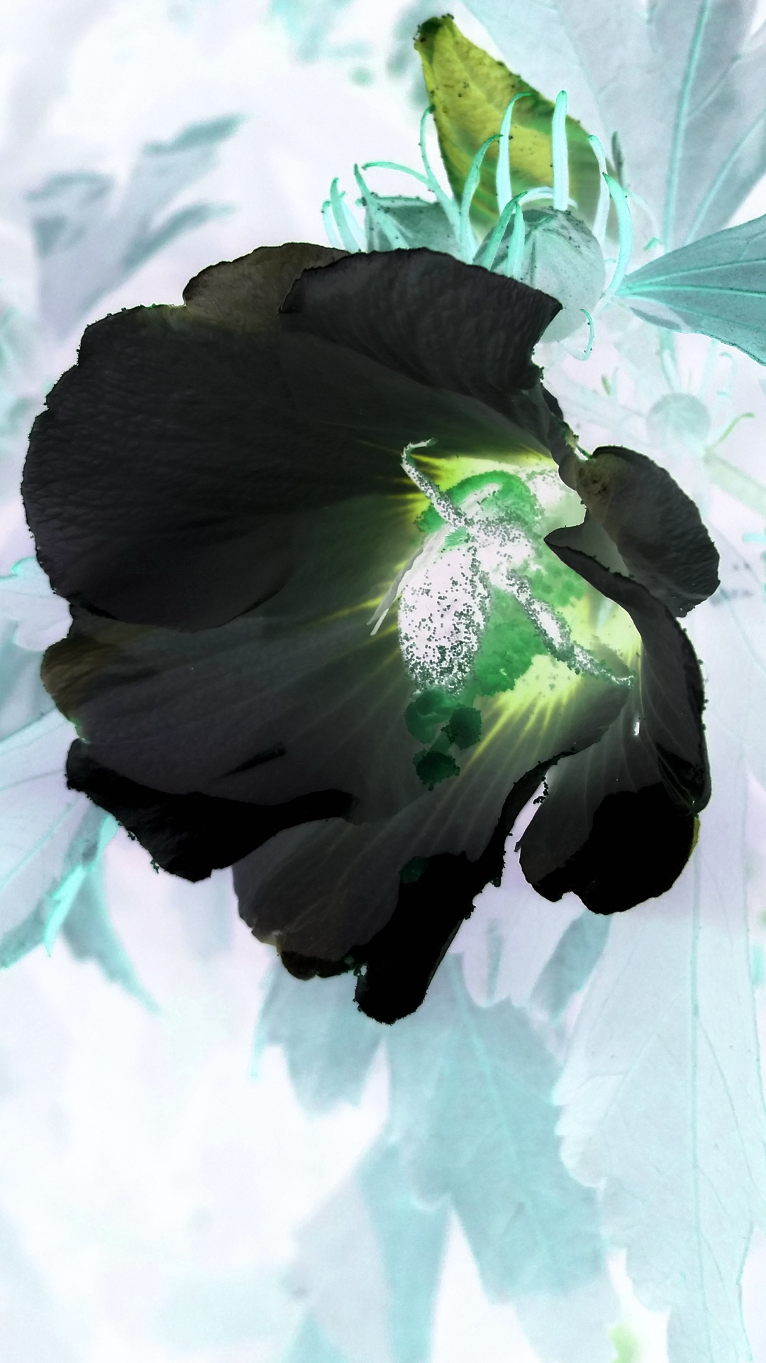 2016-07-21 20.50.25.png