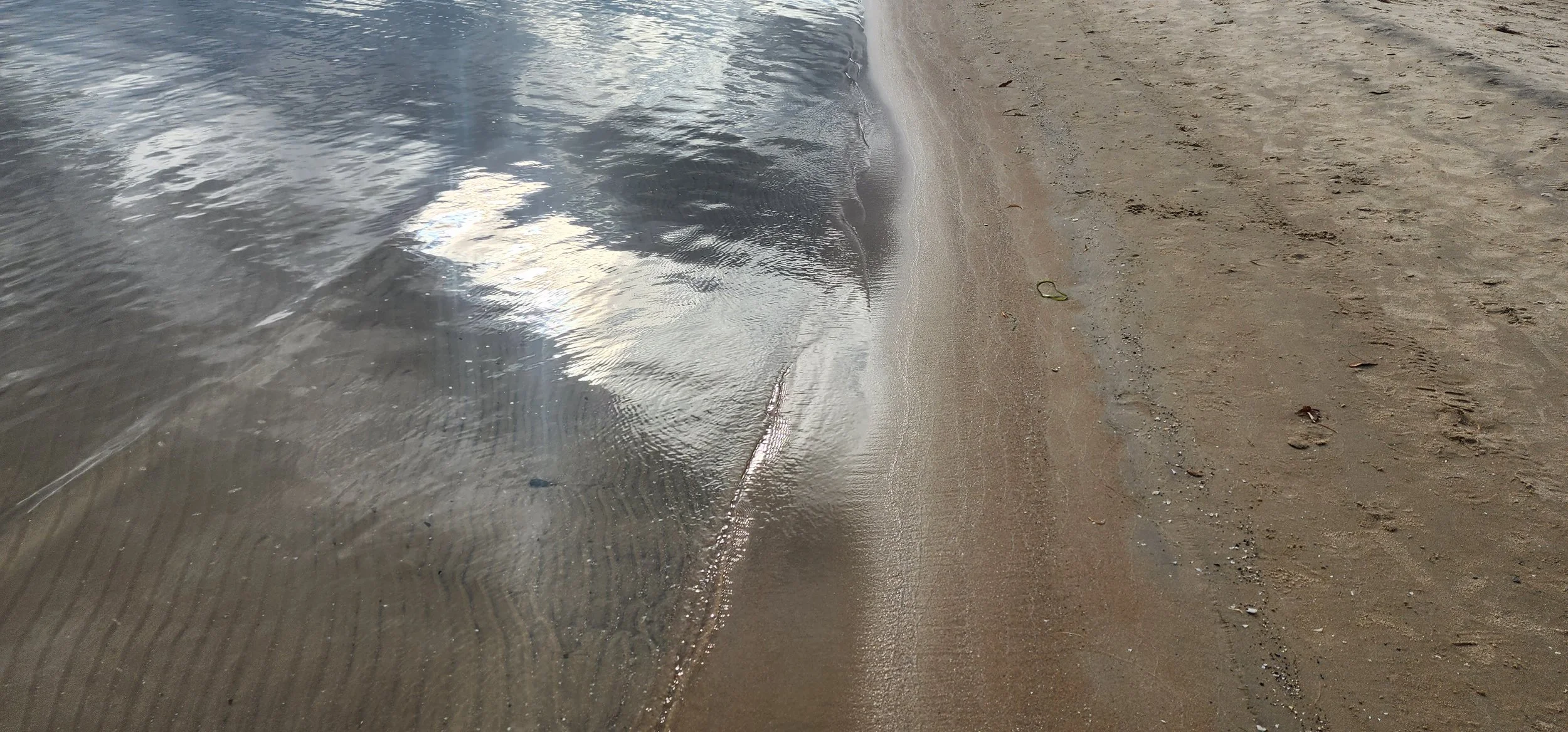 20230910_172414.jpg
