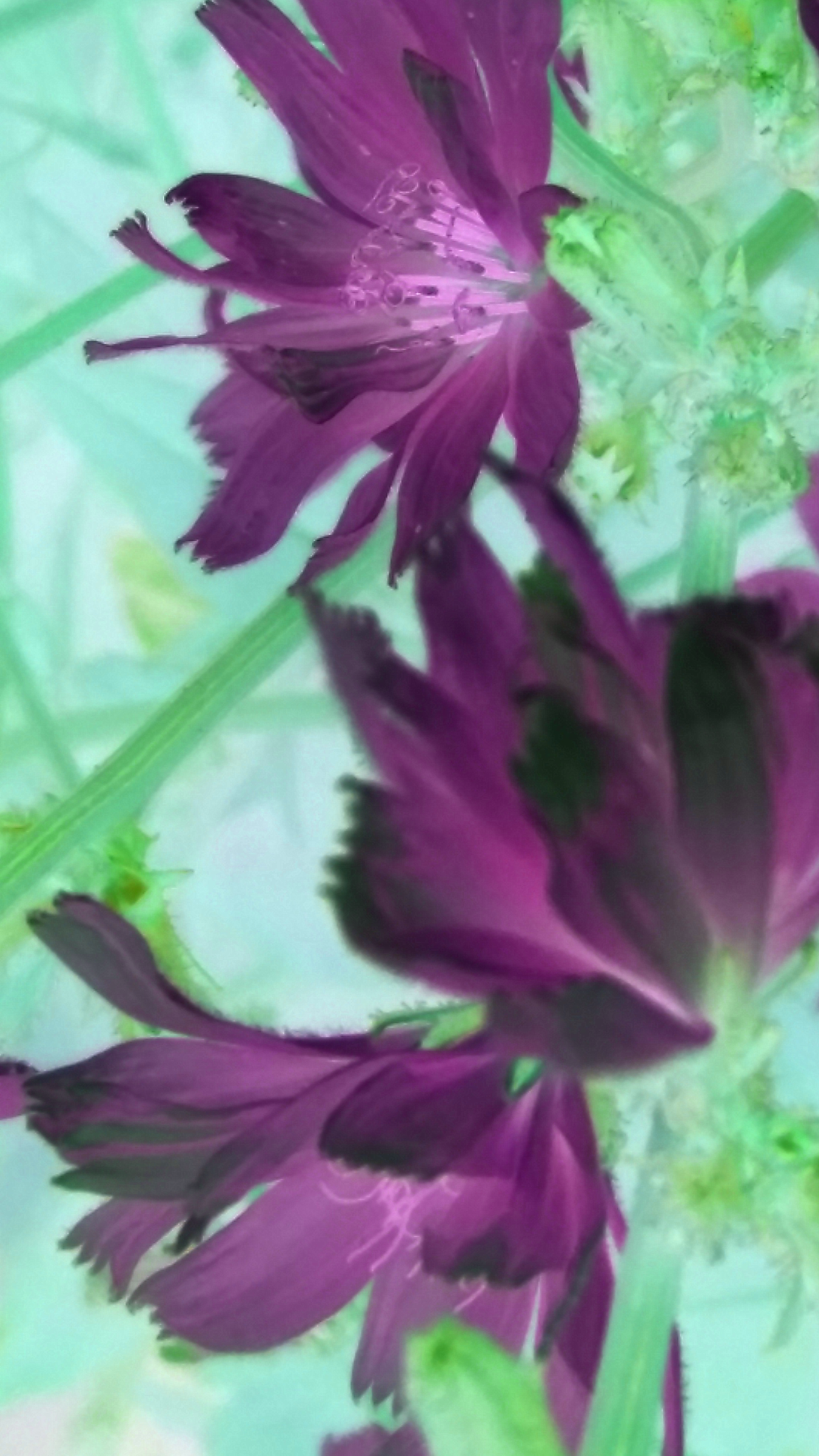 2016-07-21 21.02.37.png