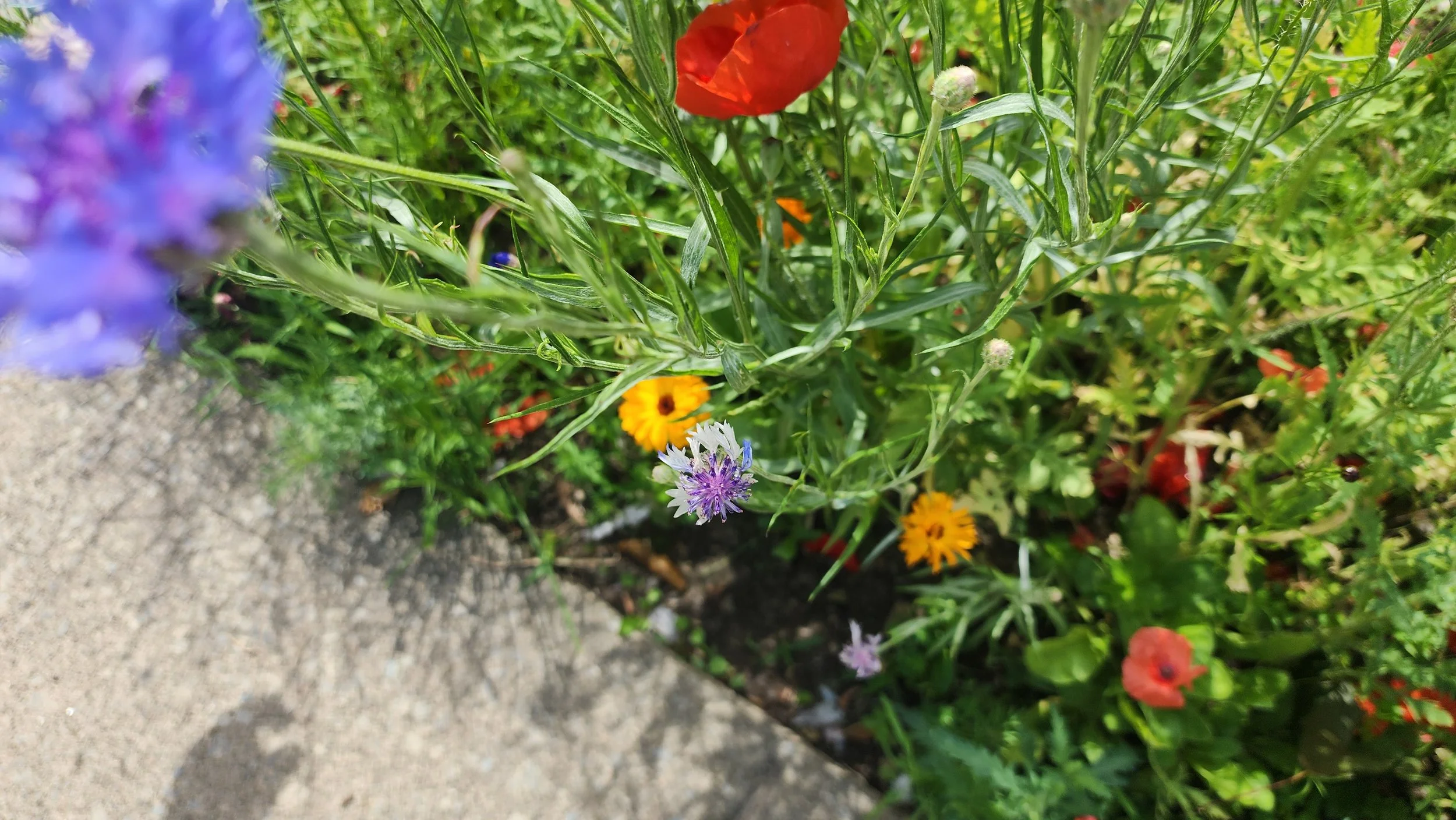 20240623_112819.jpg