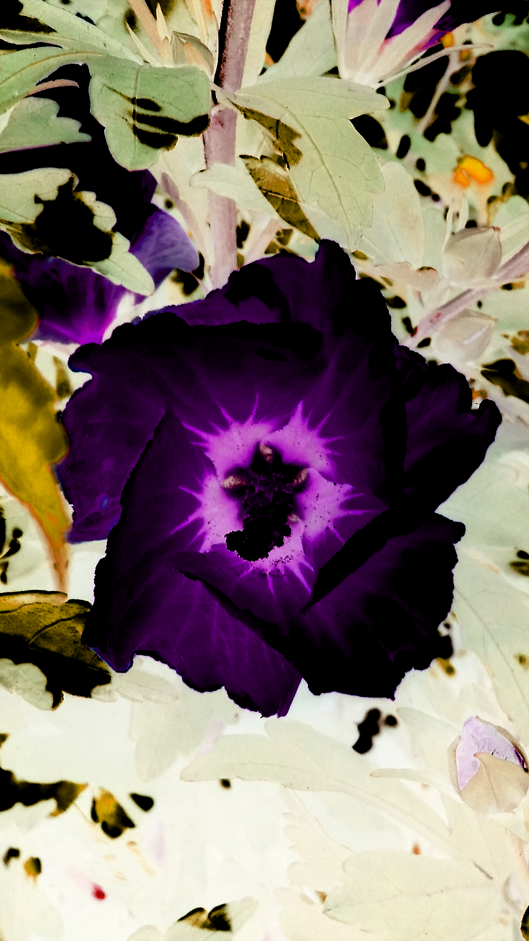 2016-07-20 15.43.17.png
