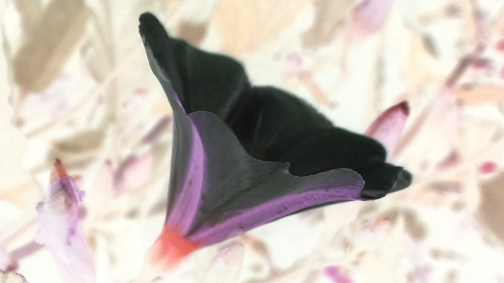 2016-07-21 01.04.20.png