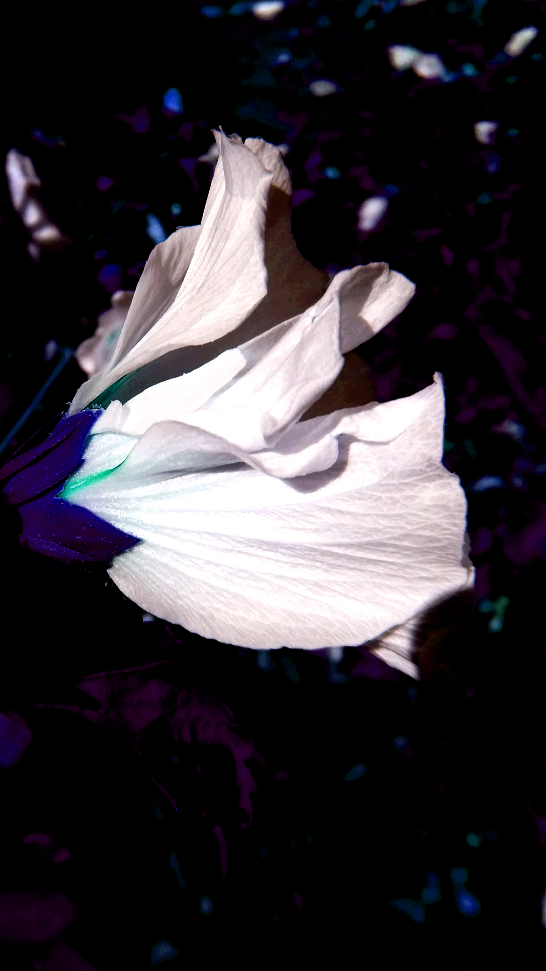 2016-08-03 20.02.31.png
