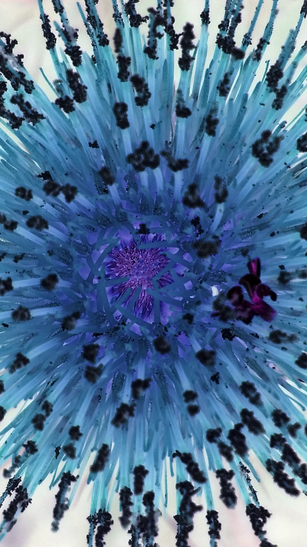 2016-07-21 20.04.00.png