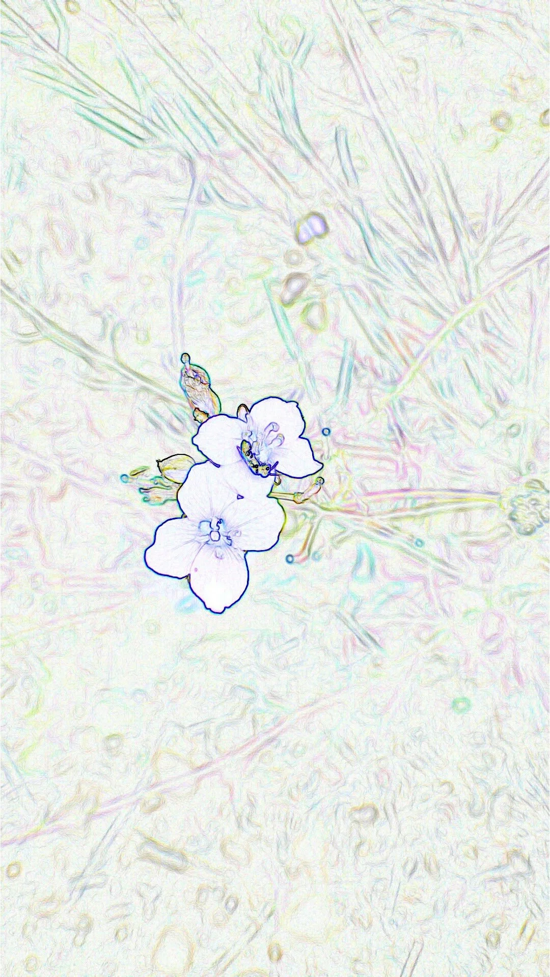 20160810_211137.jpg