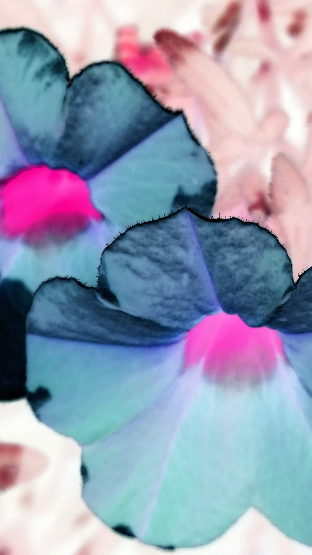 2016-07-21 20.56.29.png