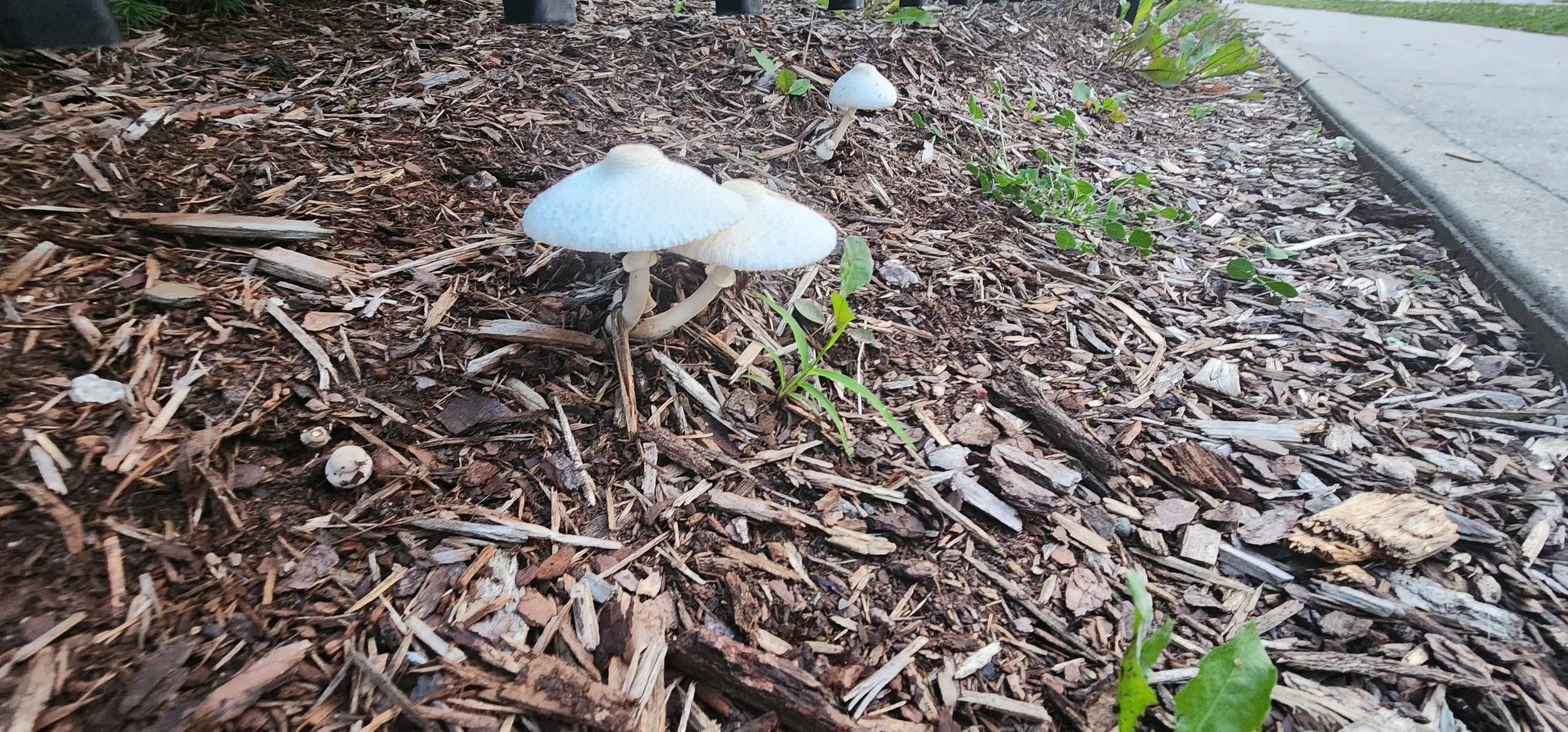 20230725_204541.jpg