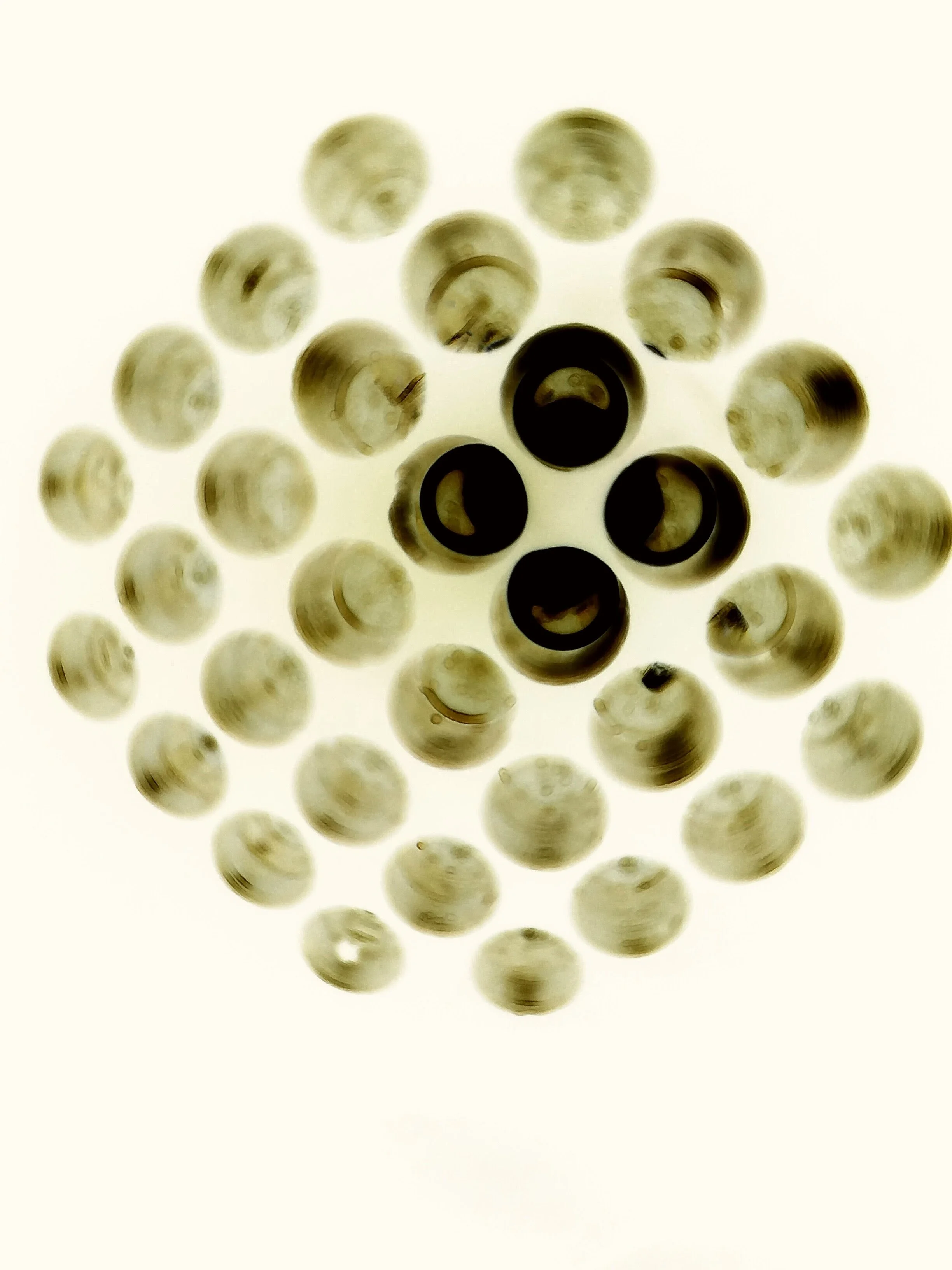 20160809_114112.jpg
