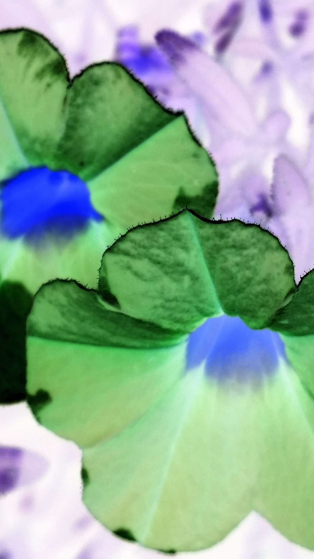 2016-07-21 20.55.59.png