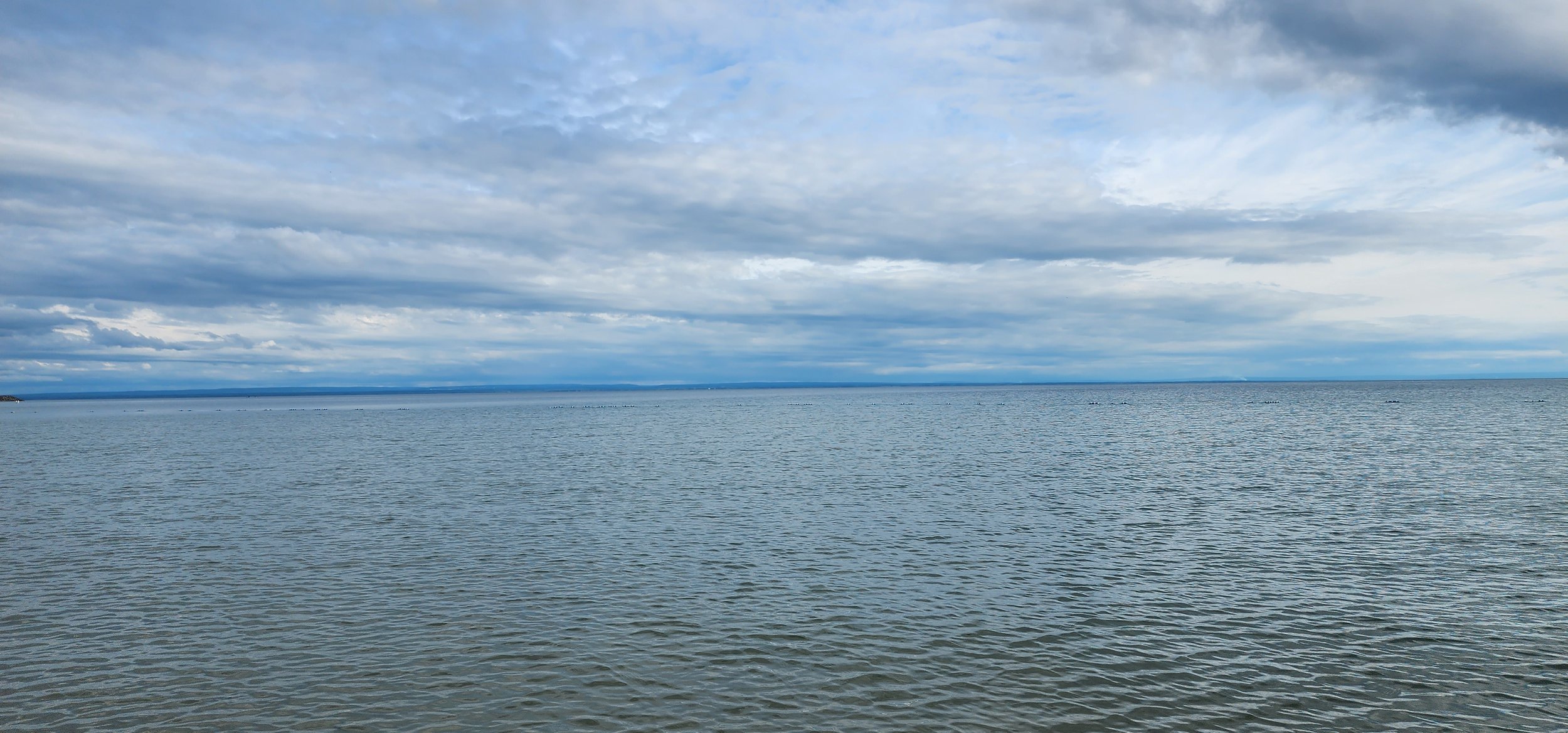 20230910_171845.jpg