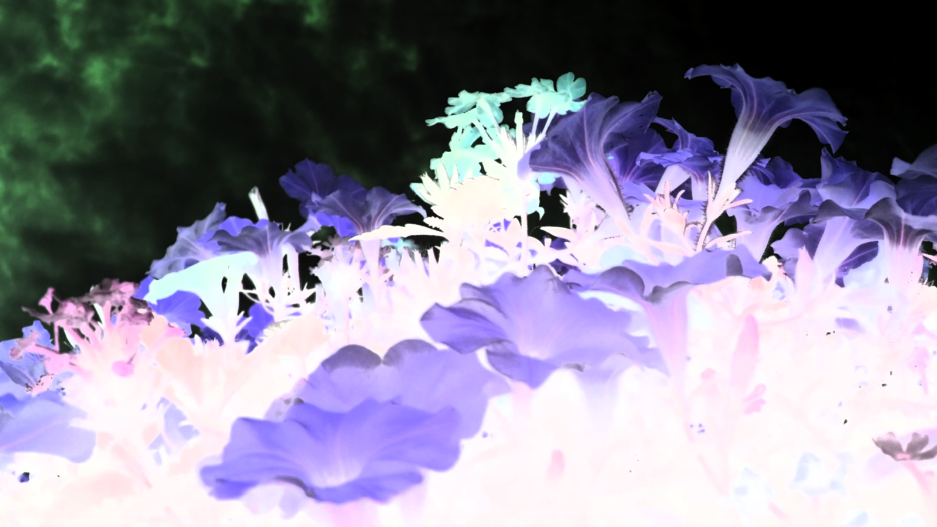 Screenshot_2016-07-25-03-44-04.png