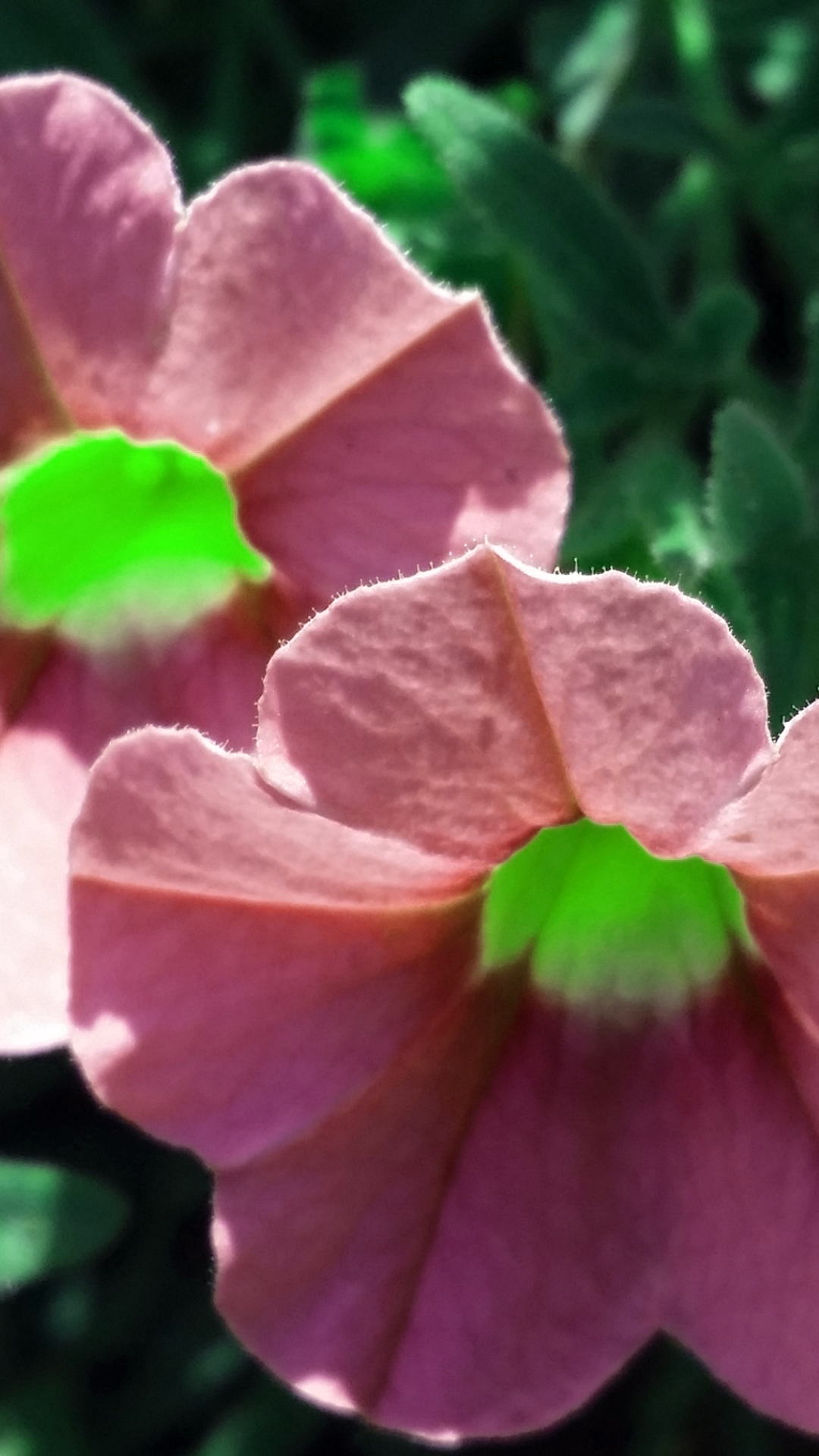 2016-07-21 20.55.10.png