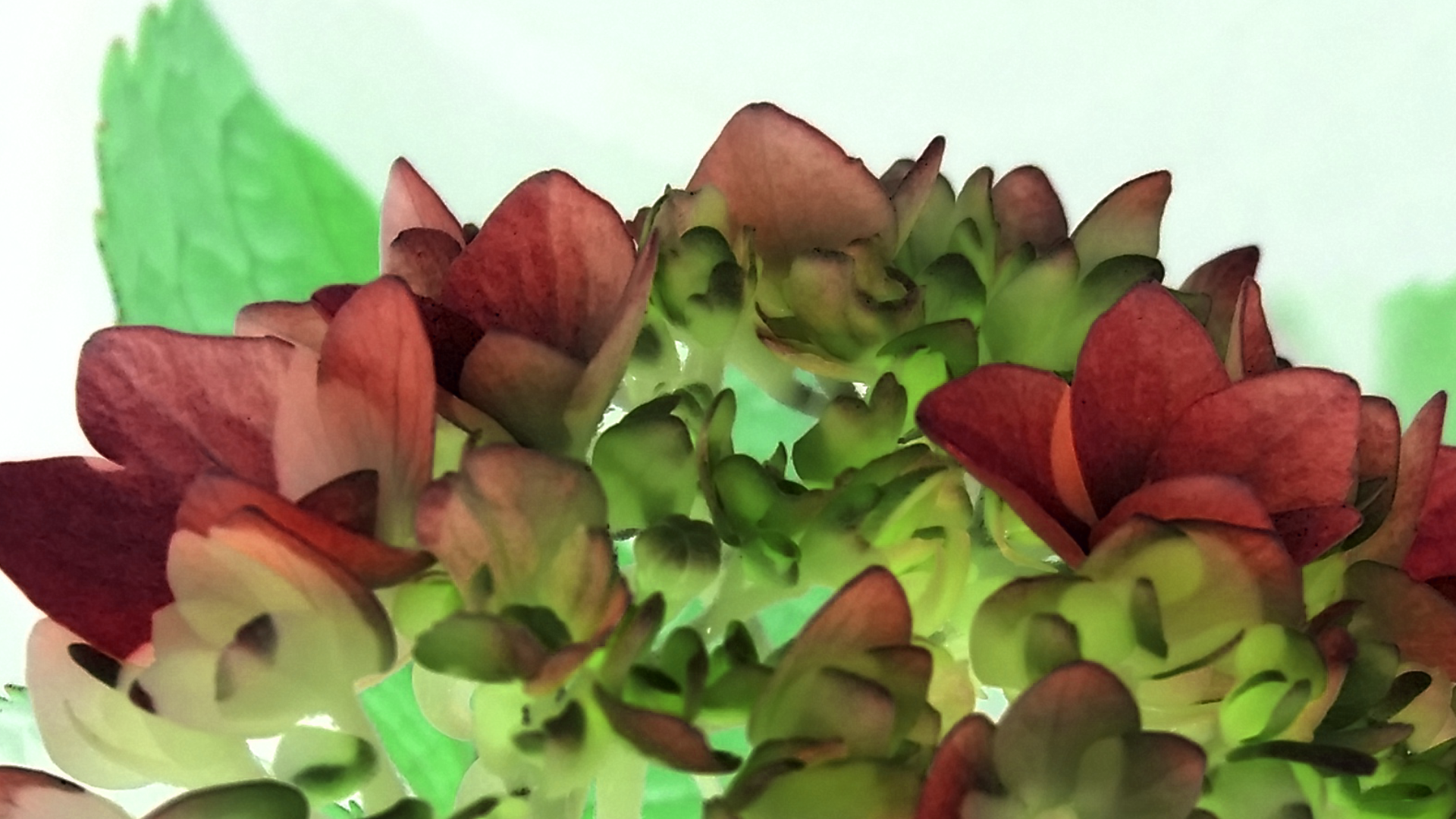 2016-07-25 19.03.16.png