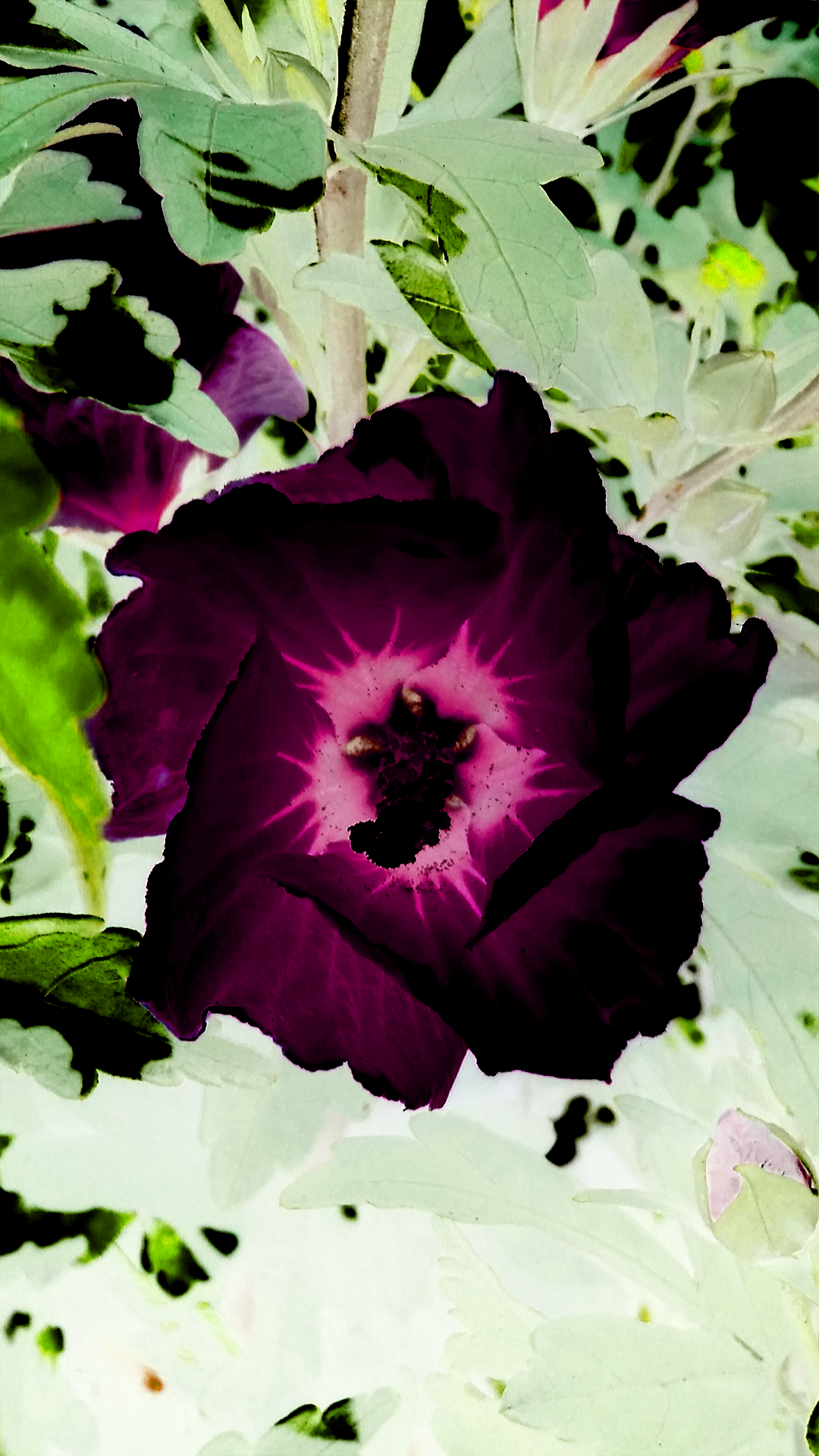 2016-07-20 15.44.09.png