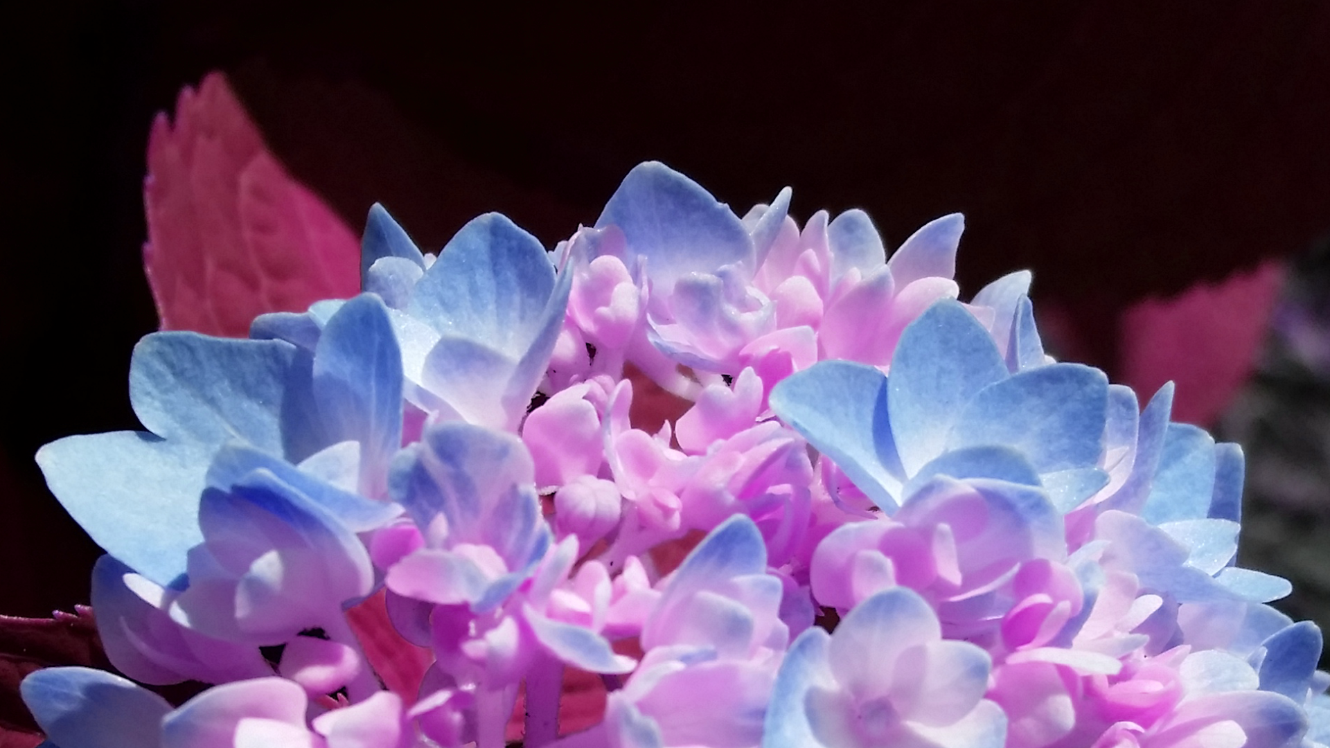 2016-07-20 13.28.35.png