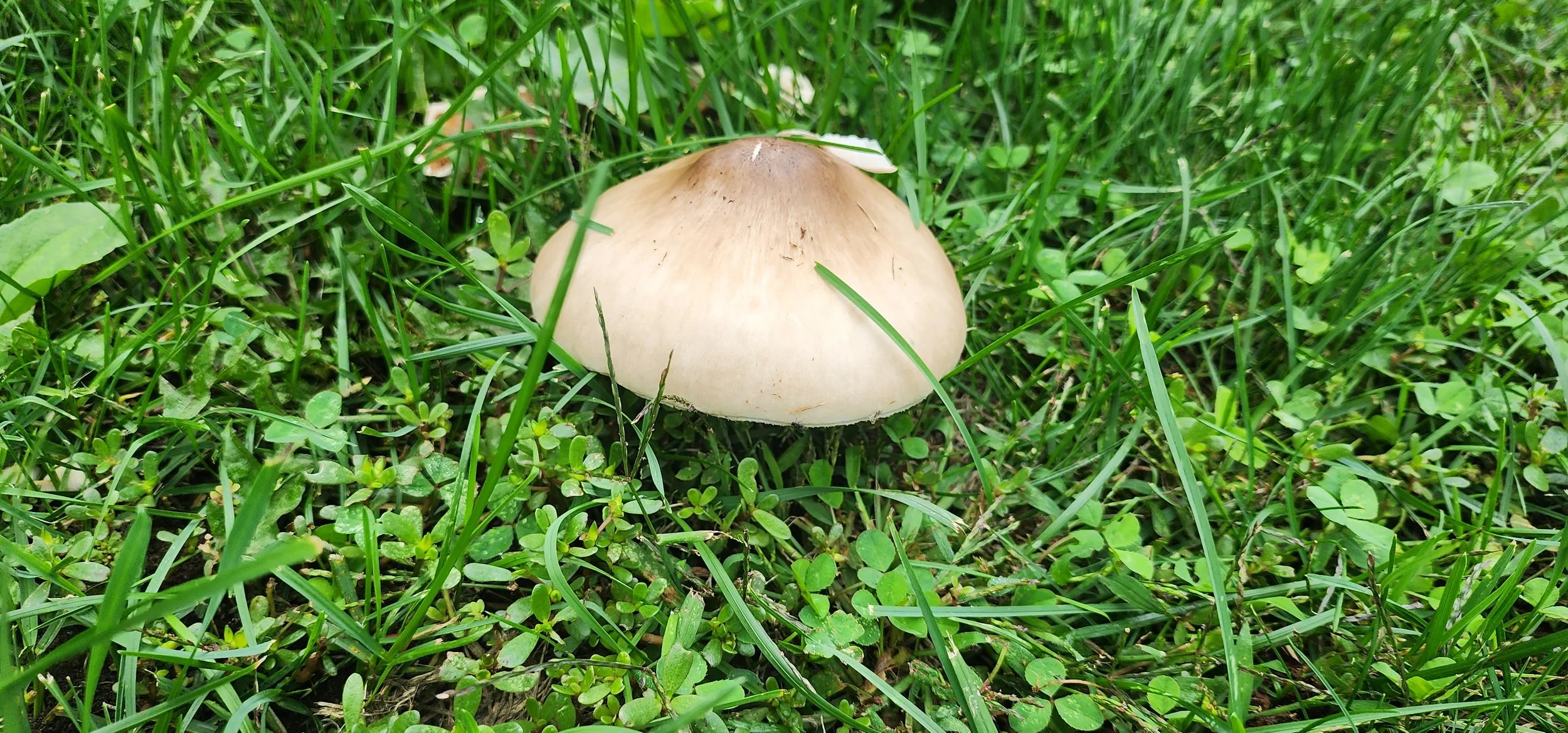 20230912_084940.jpg