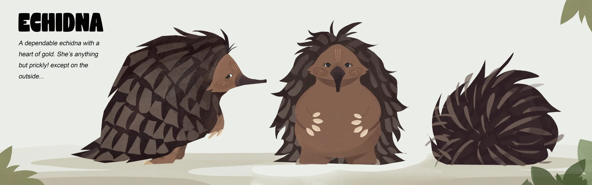 ECHIDNA CHARACTER SHEET.jpg