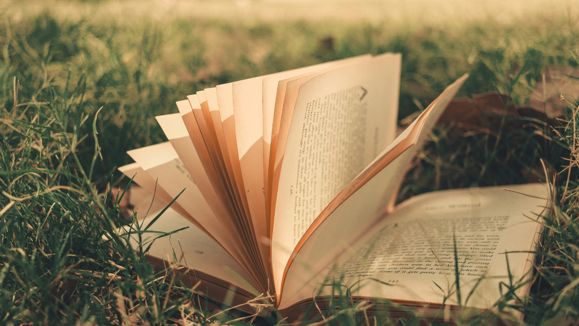 Who Am I Becoming? Storytelling as a Tool for Finding Direction