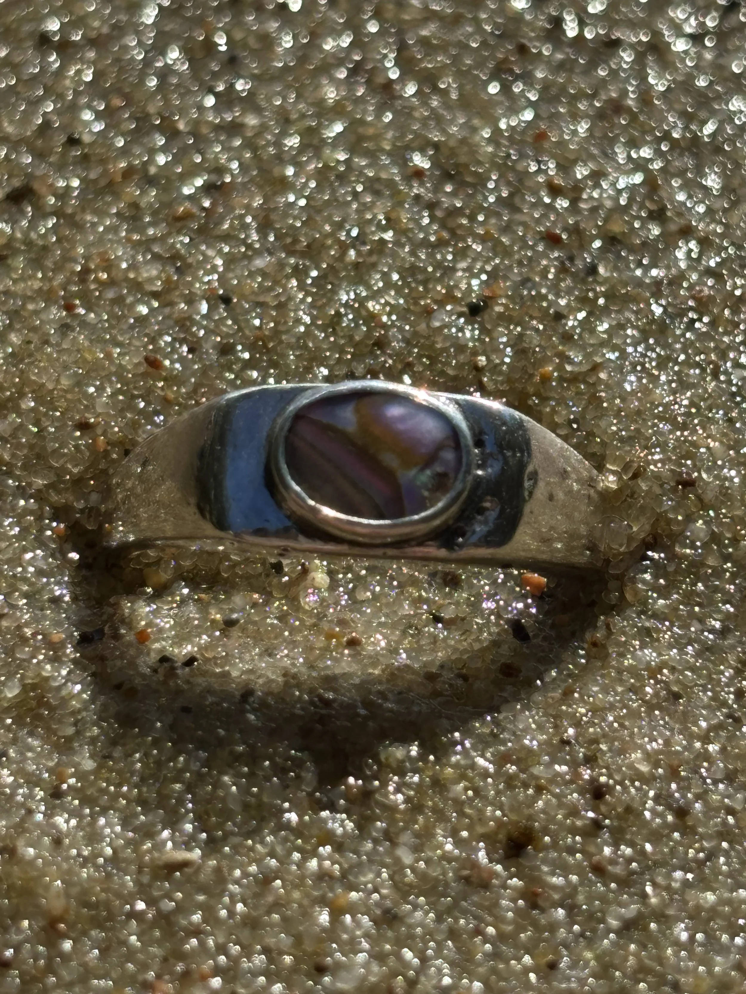 33 abalone.jpg